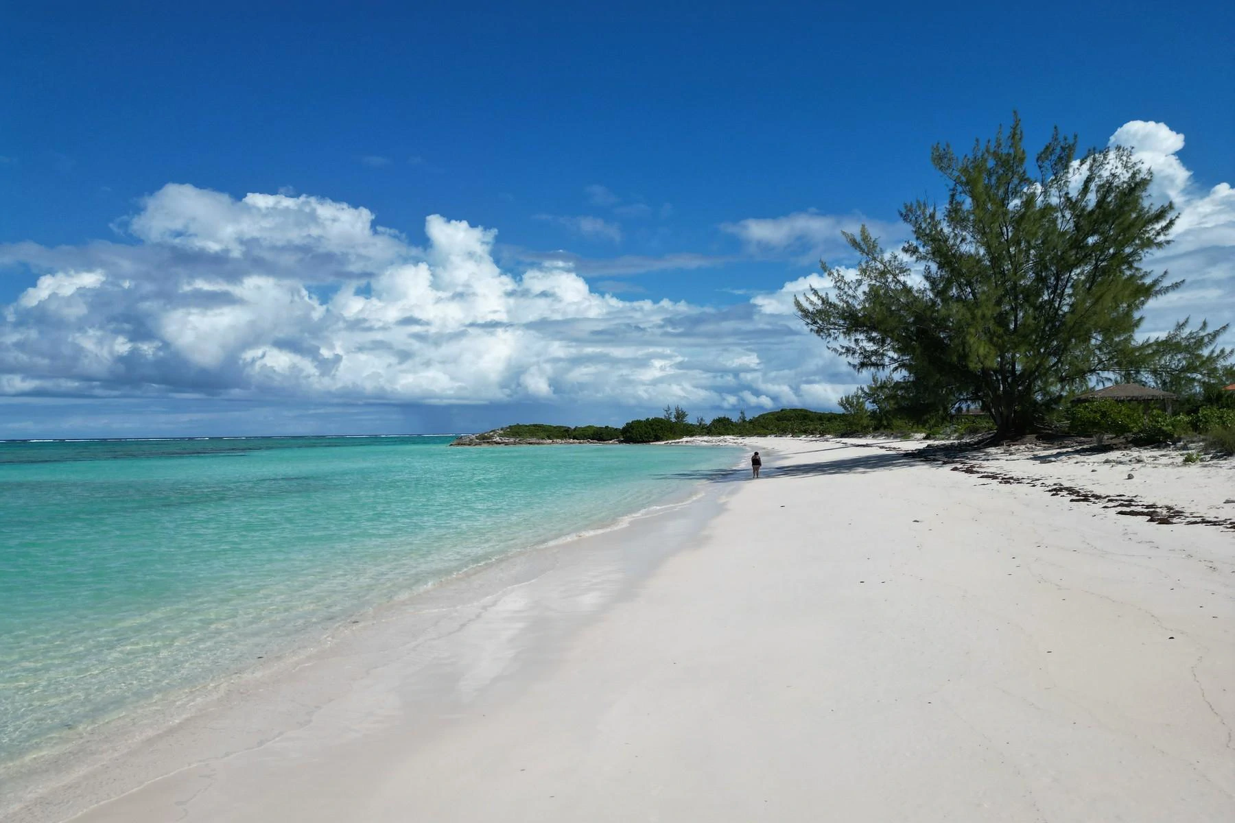 Grace on The Bay, Whitby Beachfront - Gallery image 17