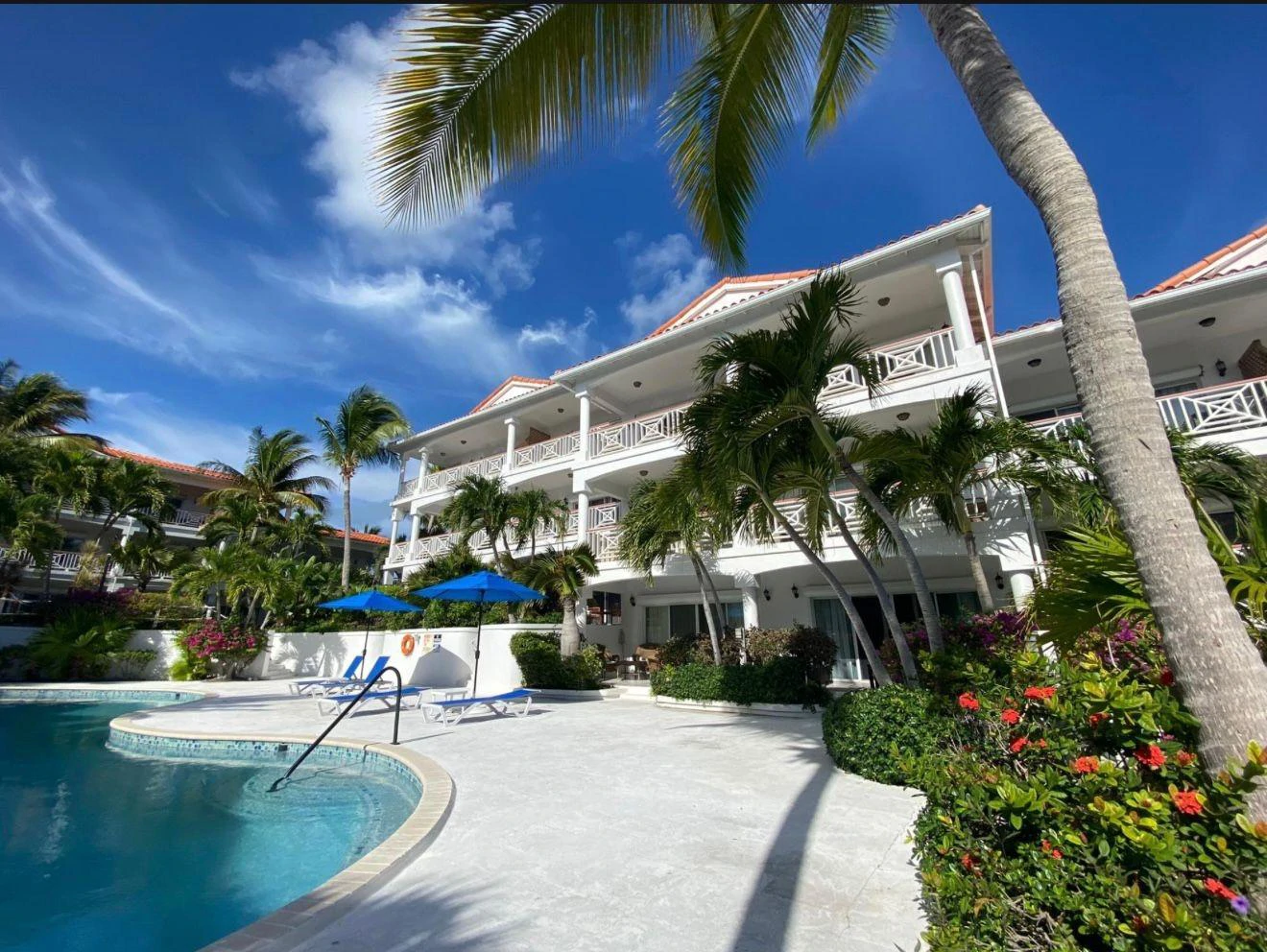 B304 Queen Angel - Gallery image 10