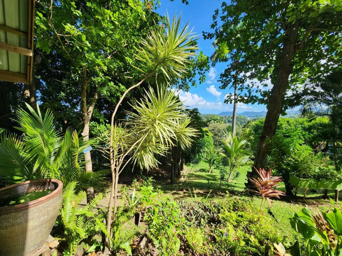 Coubaril Chateaux, Coubaril, St Lucia. - Gallery image 2