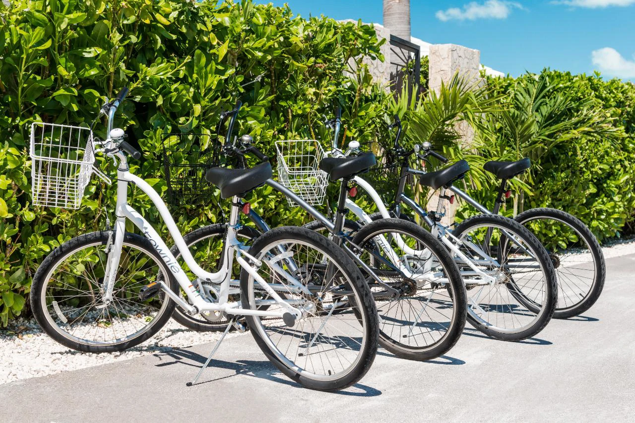 Reef Pearl - Gallery image 17