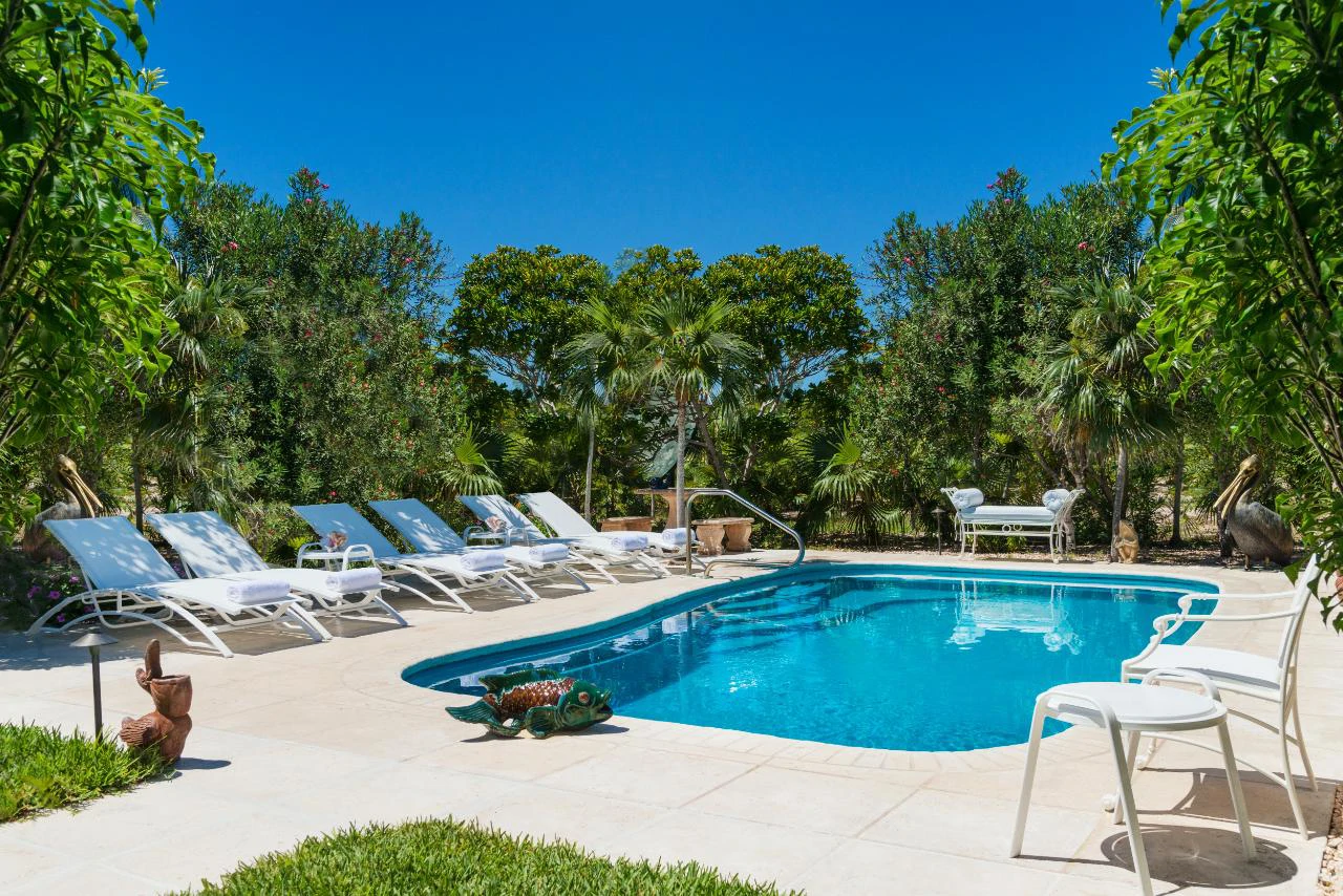 Reef Pearl - Gallery image 25