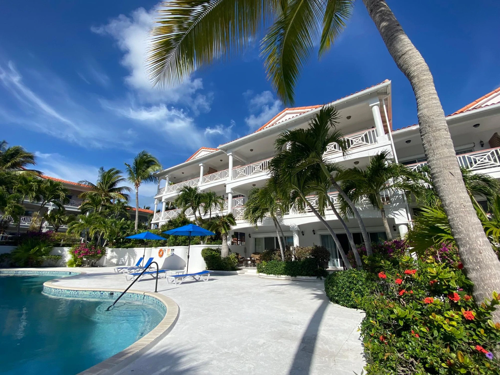 B101 Queen Angel - Gallery image 24