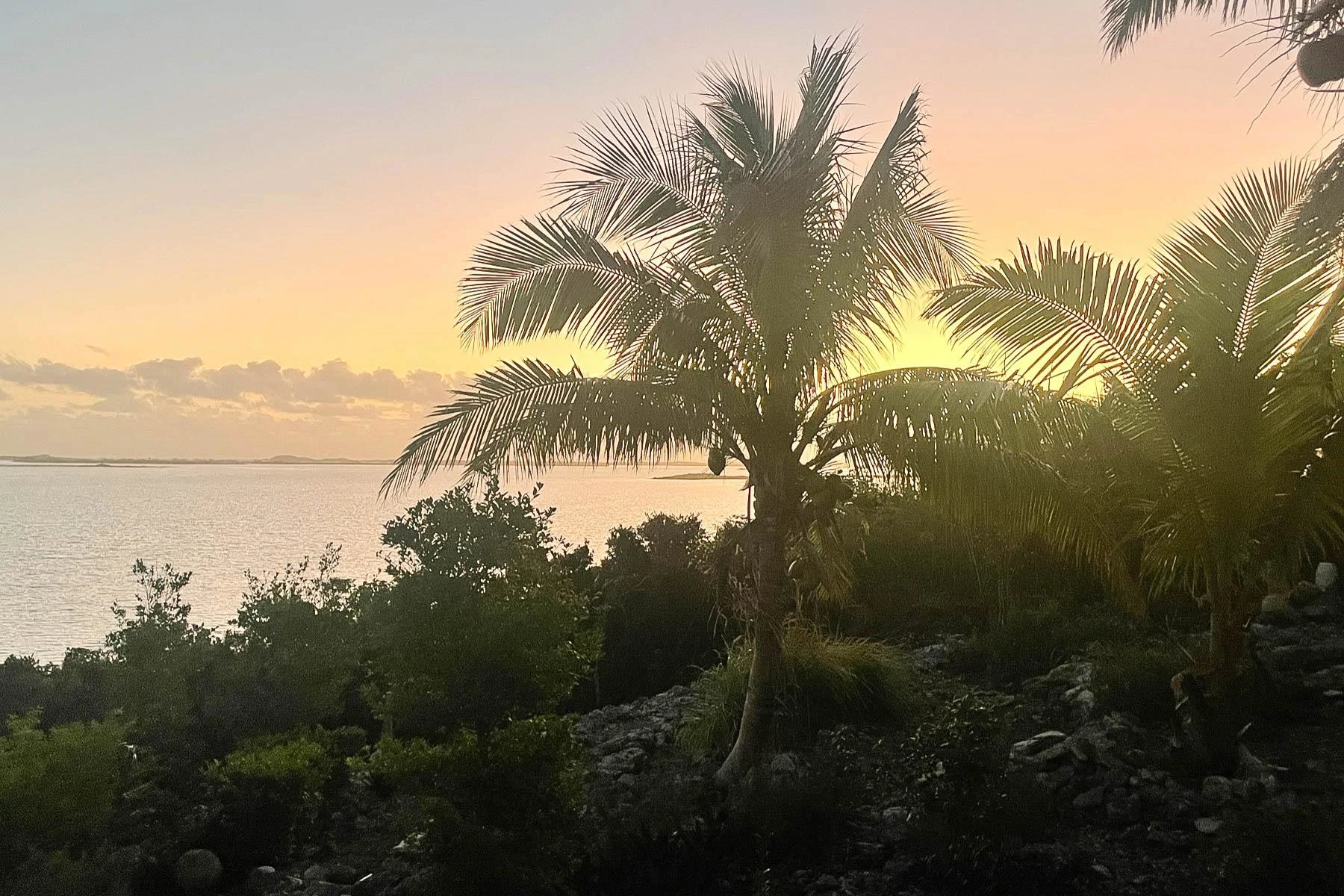 Rocky Top - Gallery image 18