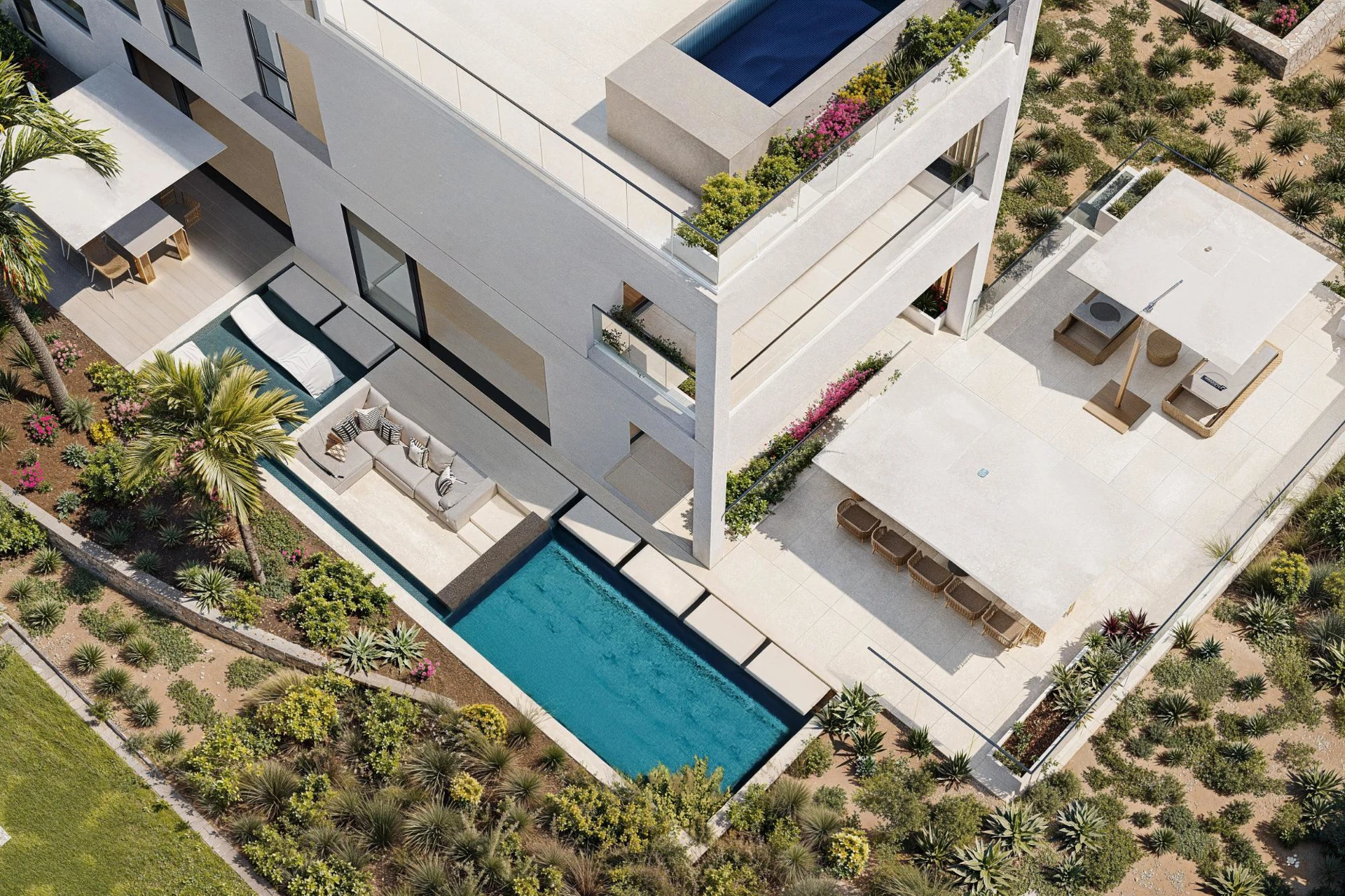 Callidora - Gallery image 9