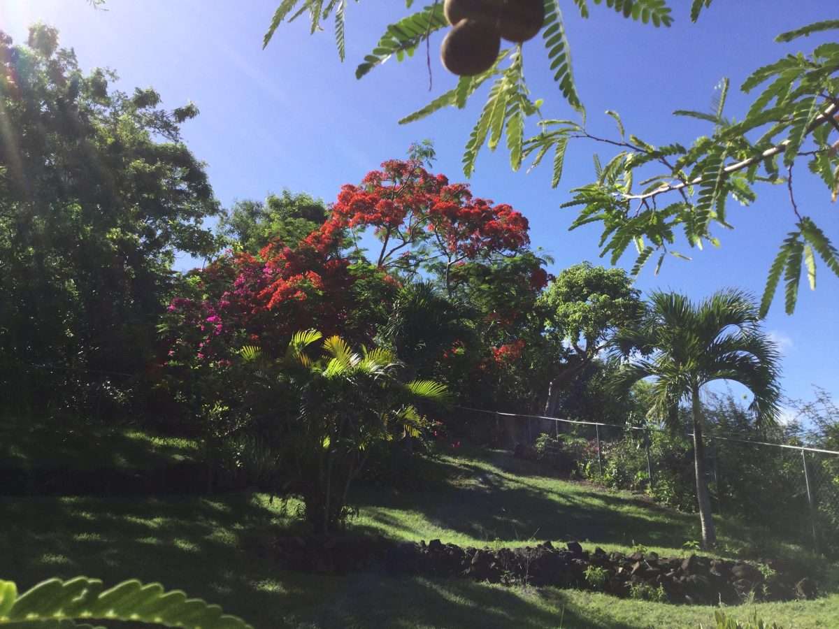 Sunset Haven Villa, Cap Estate - Gallery image 15