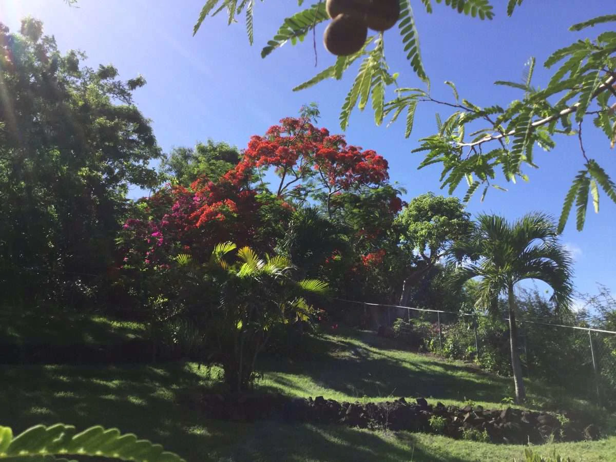 Sunset Haven Villa, Cap Estate. - Gallery image 15