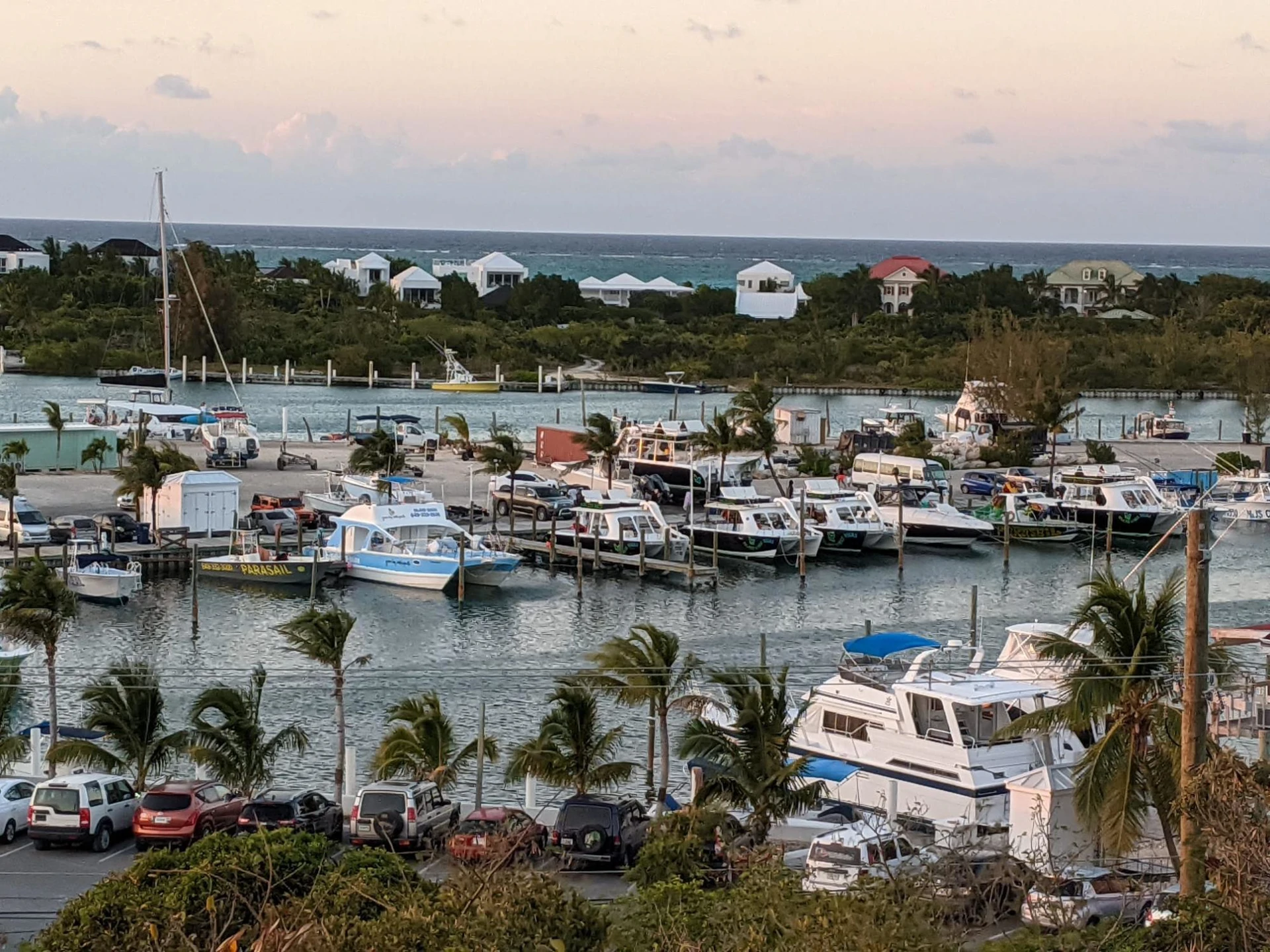 B304 Queen Angel - Gallery image 39