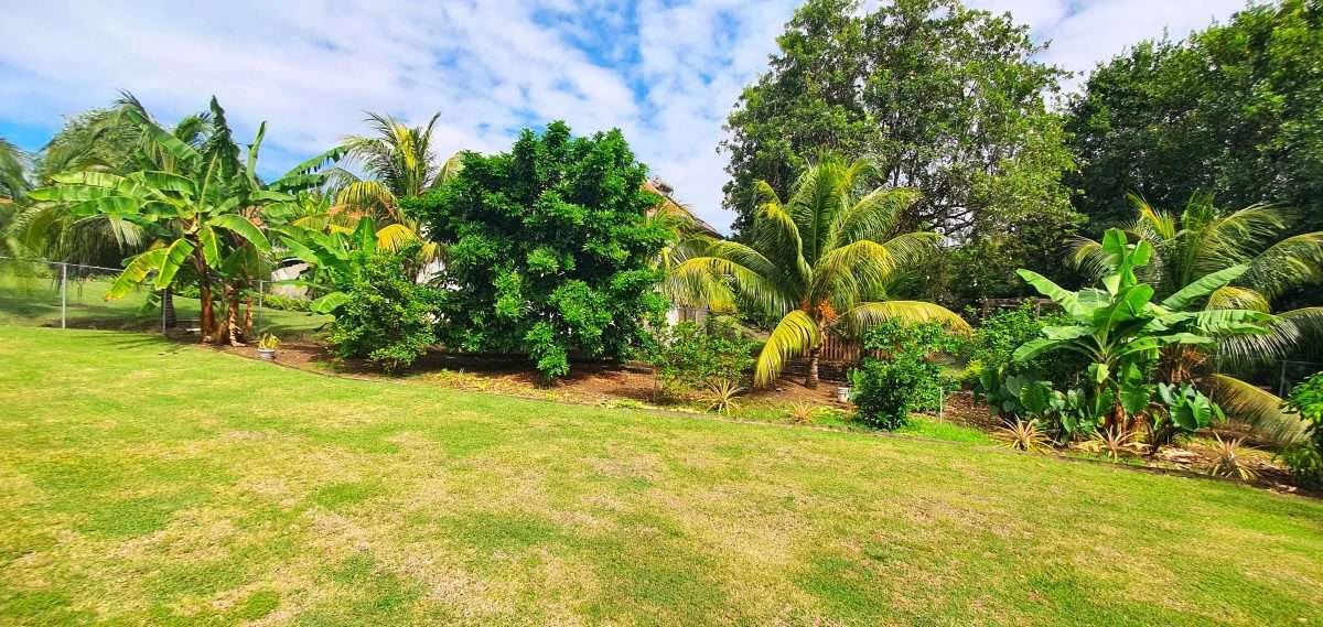 Sunnyside Villa, Cap Estate. - Gallery image 24