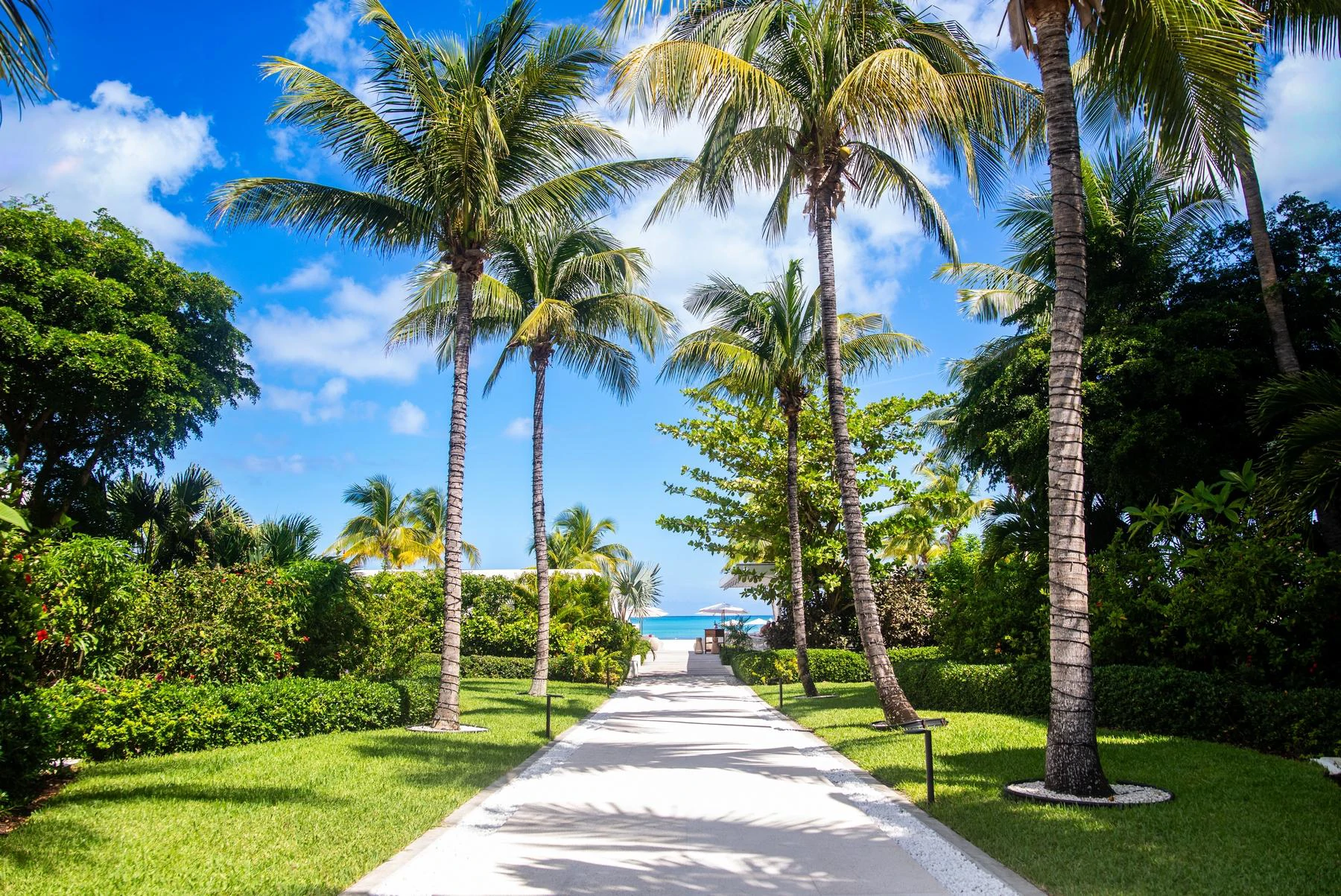 Wymara Resort - Gallery image 16