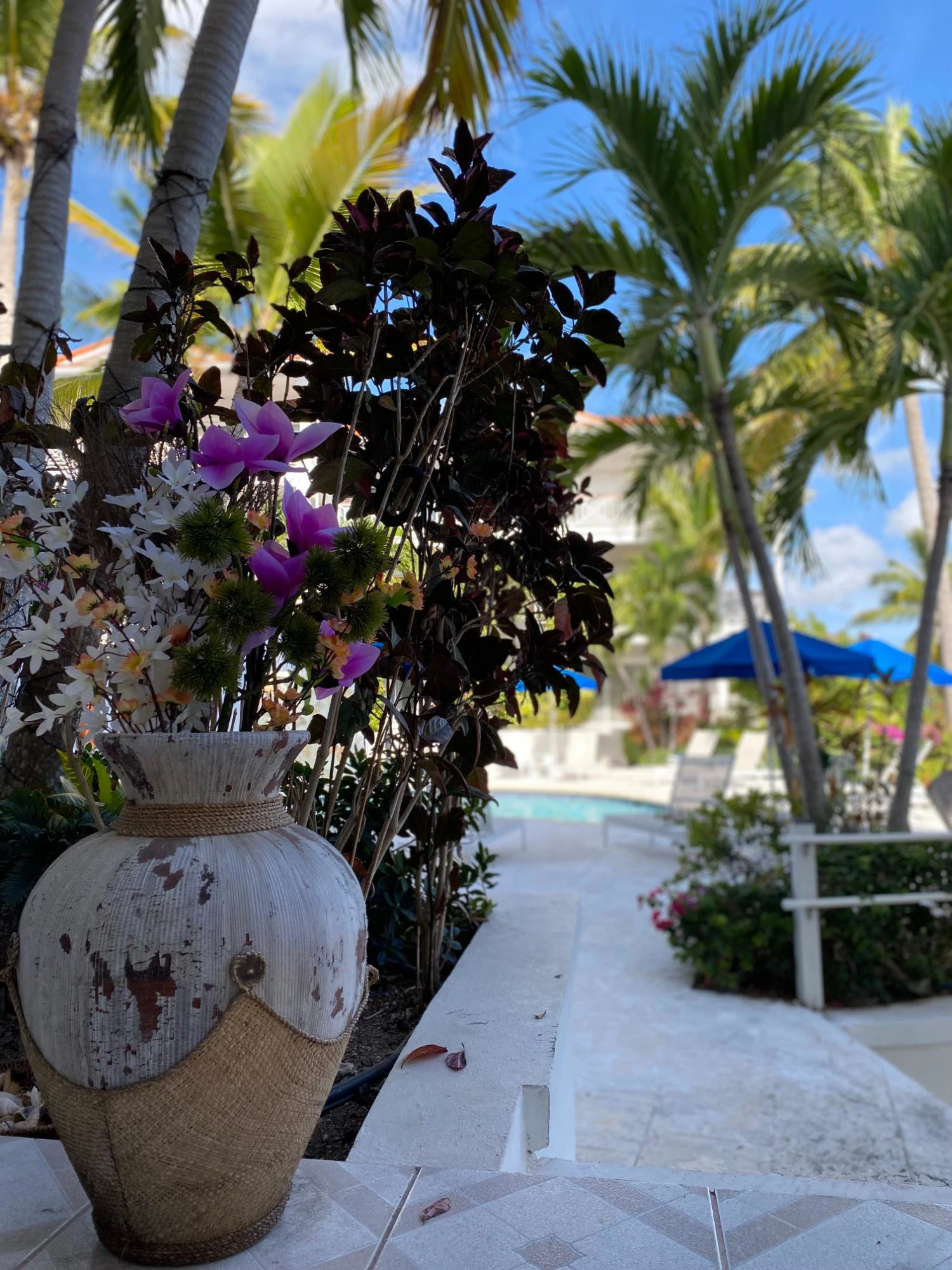 B101 Queen Angel - Gallery image 28