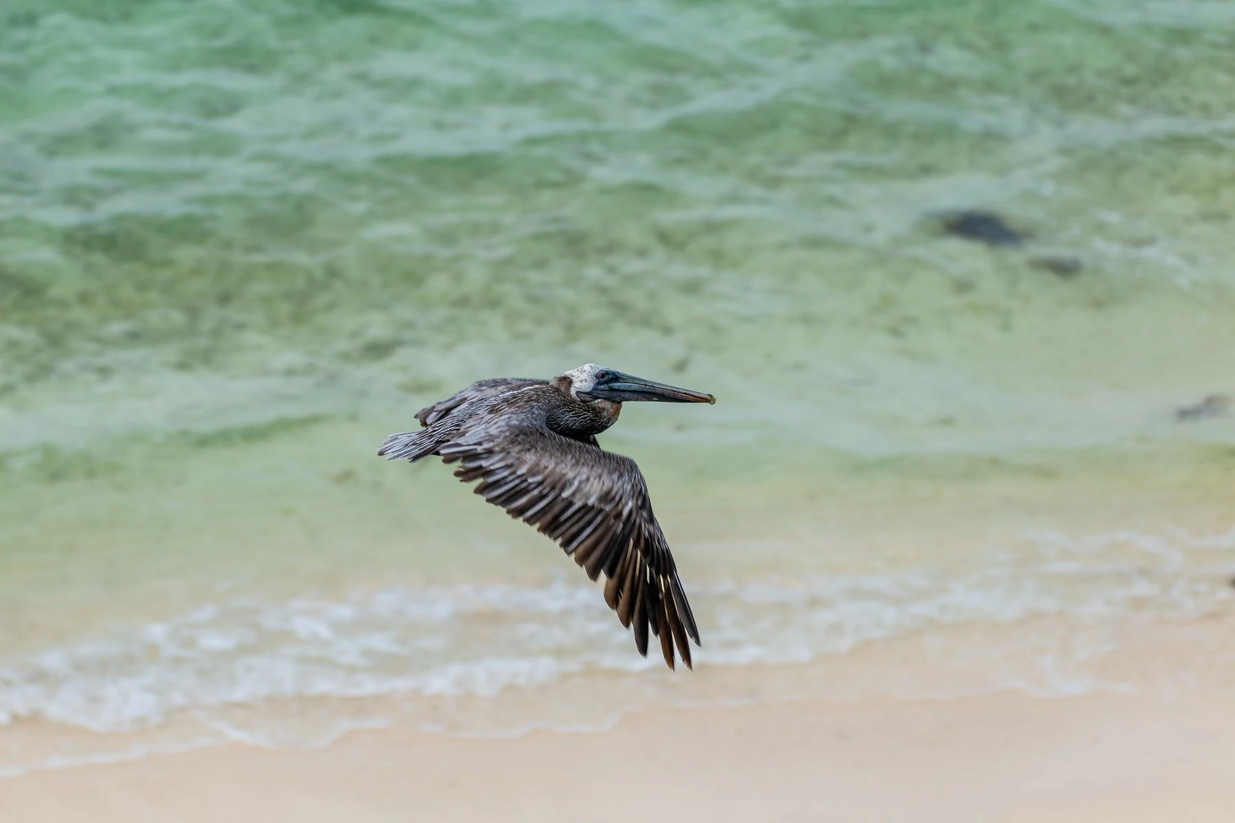 Villa Palmera - Gallery image 68