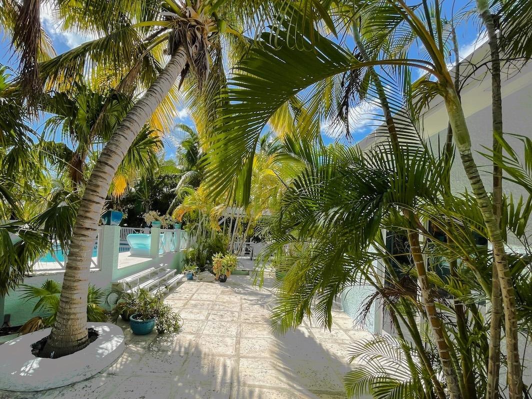 VILLA TROPICA SANDPIPER AVENUE-LEEWARD - Gallery image 16