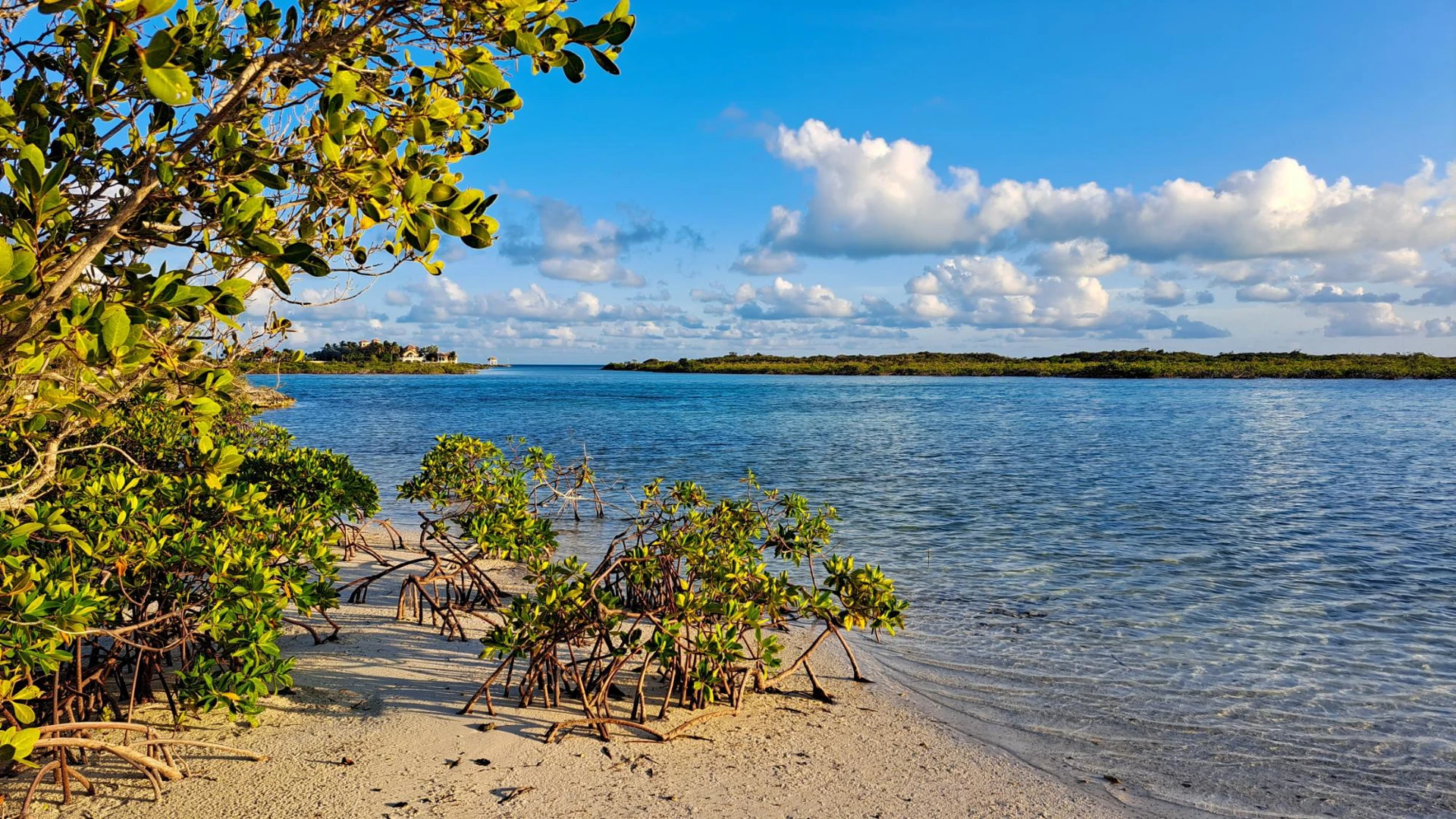 Beau Soleil Villa, 178 Chalk Sound Road - Gallery image 4