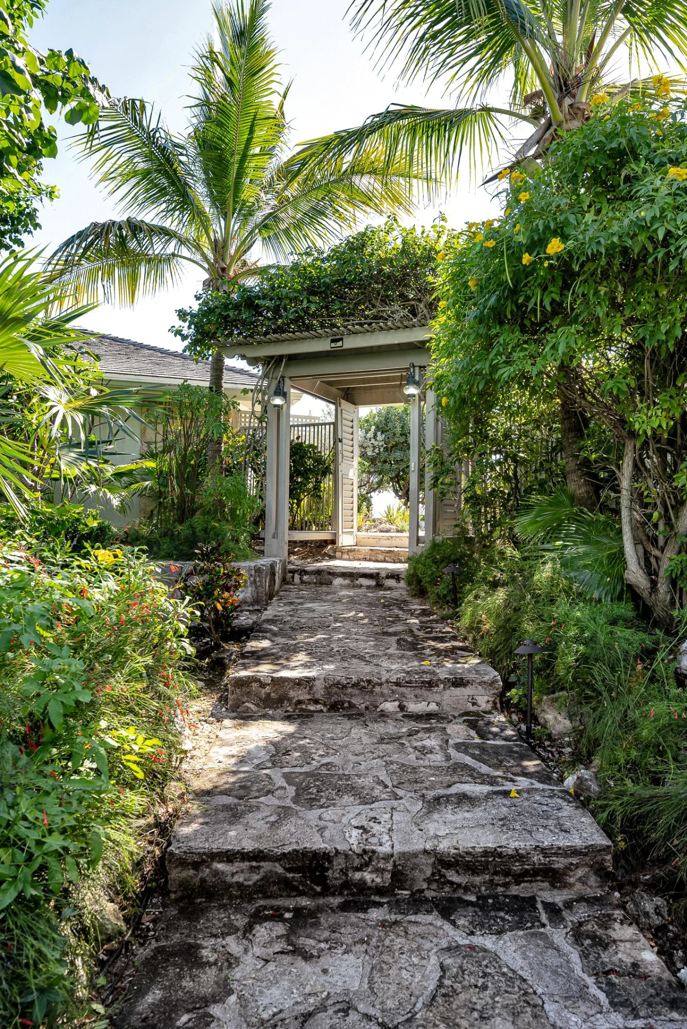 PARADISE POINTE - Gallery image 52