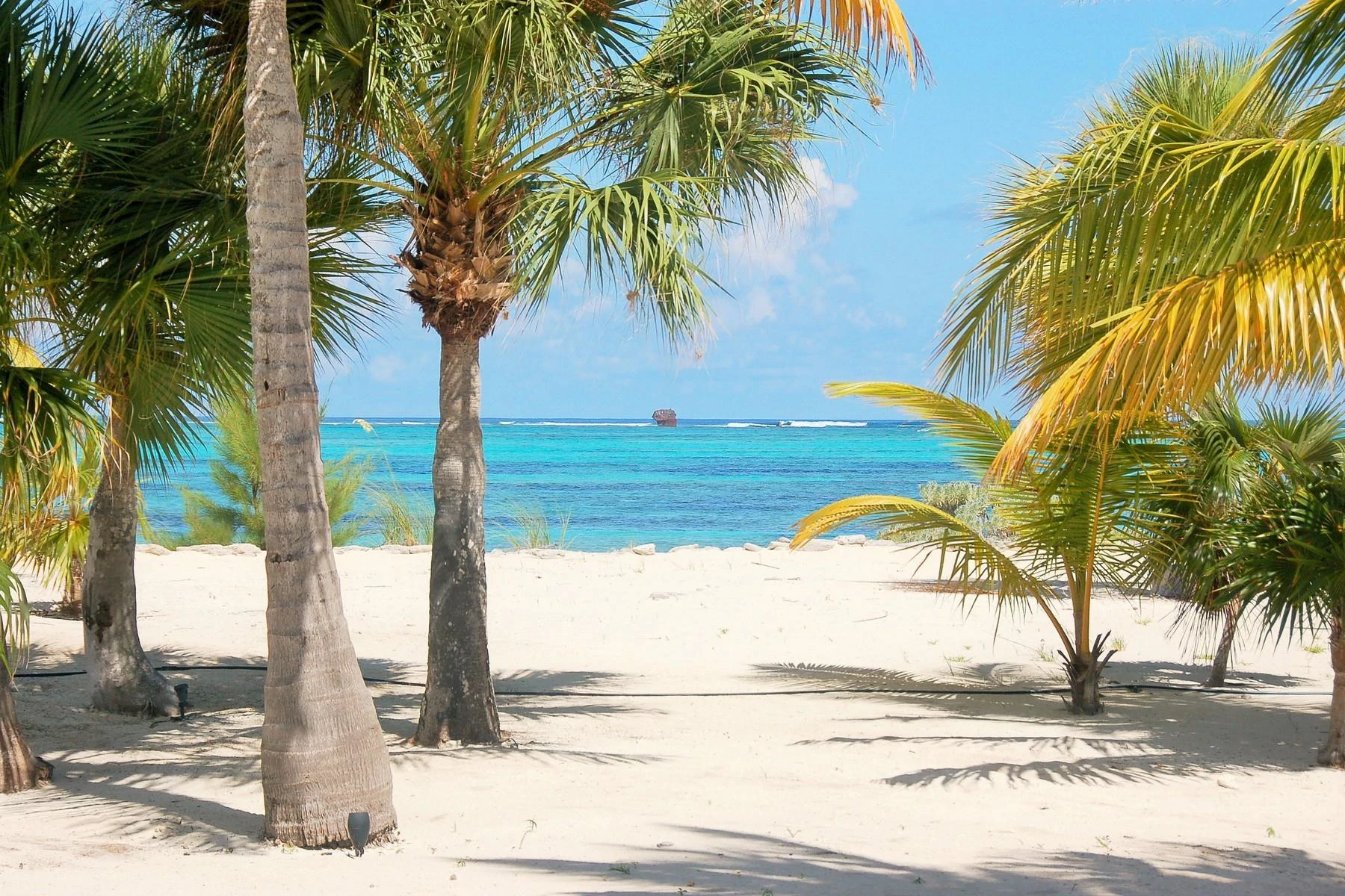 Grace on The Bay, Whitby Beachfront - Gallery image 15