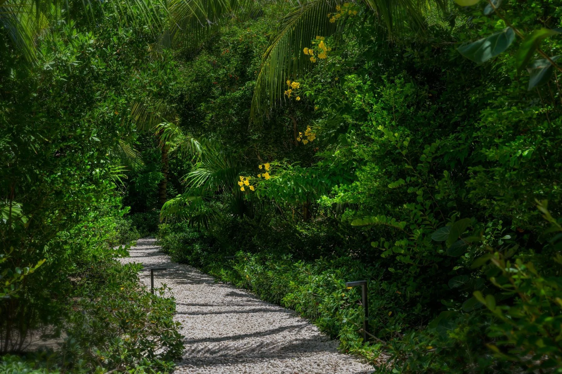 LA DOLCE VITA - Gallery image 60