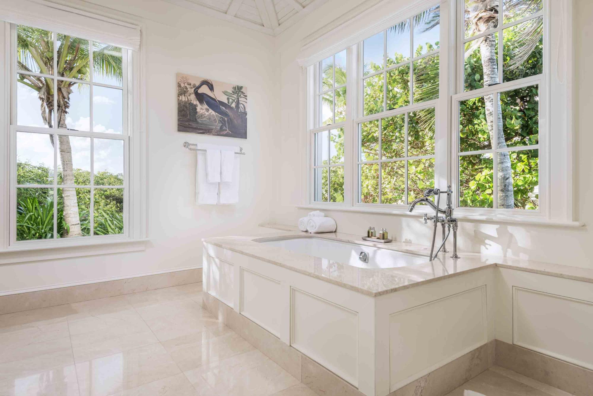 Aurora - Gallery image 6