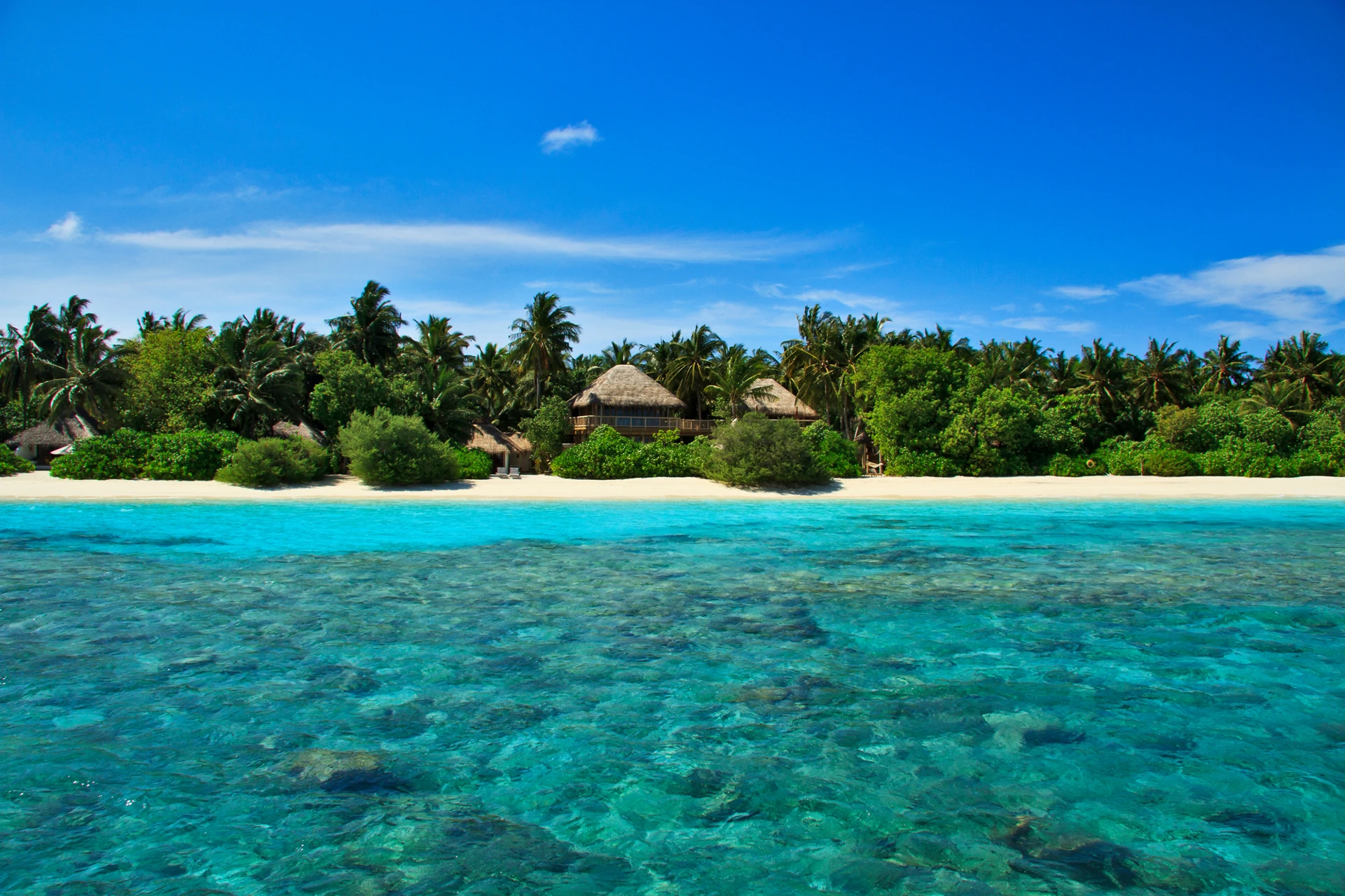 Luxury branded beach villas for sale | Soneva Fushi Maldives - Gallery image 3