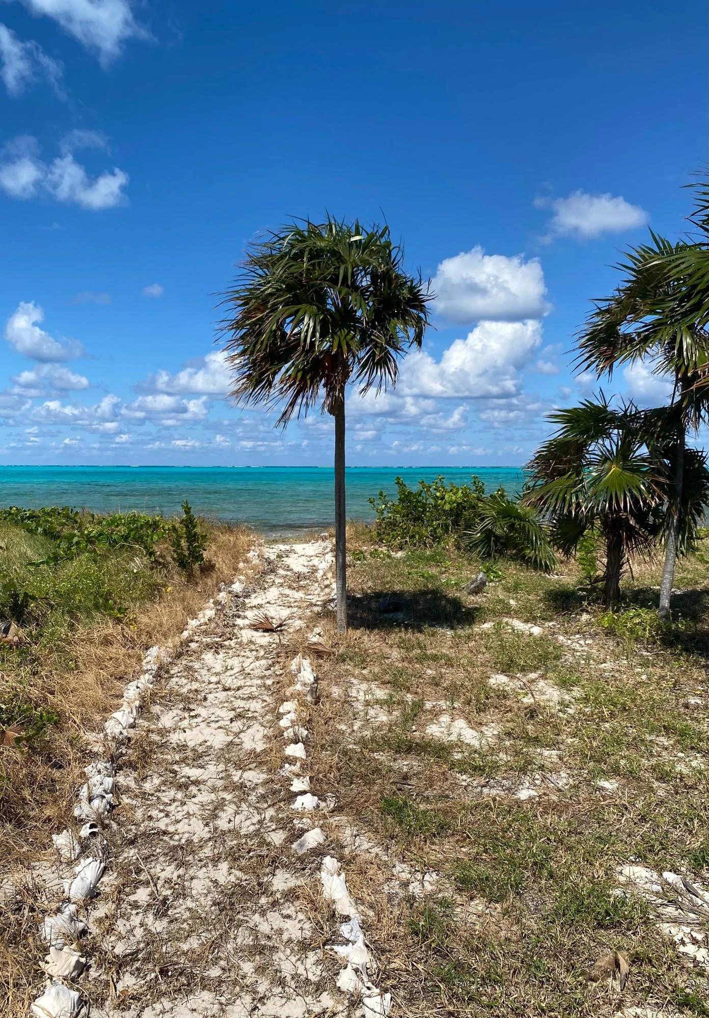Beachfront Home - Middle Caicos - Lot 34 - Gallery image 3