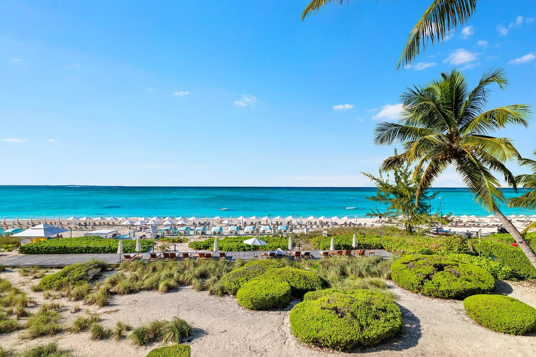 1304.1305 - The Palms - Gallery image 5