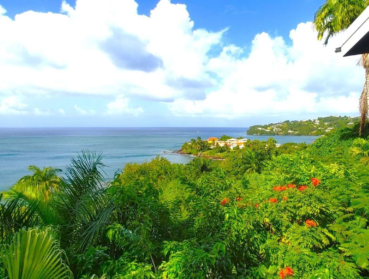 Butterfly House and Beach, La Toc, Castries. - Gallery image 10