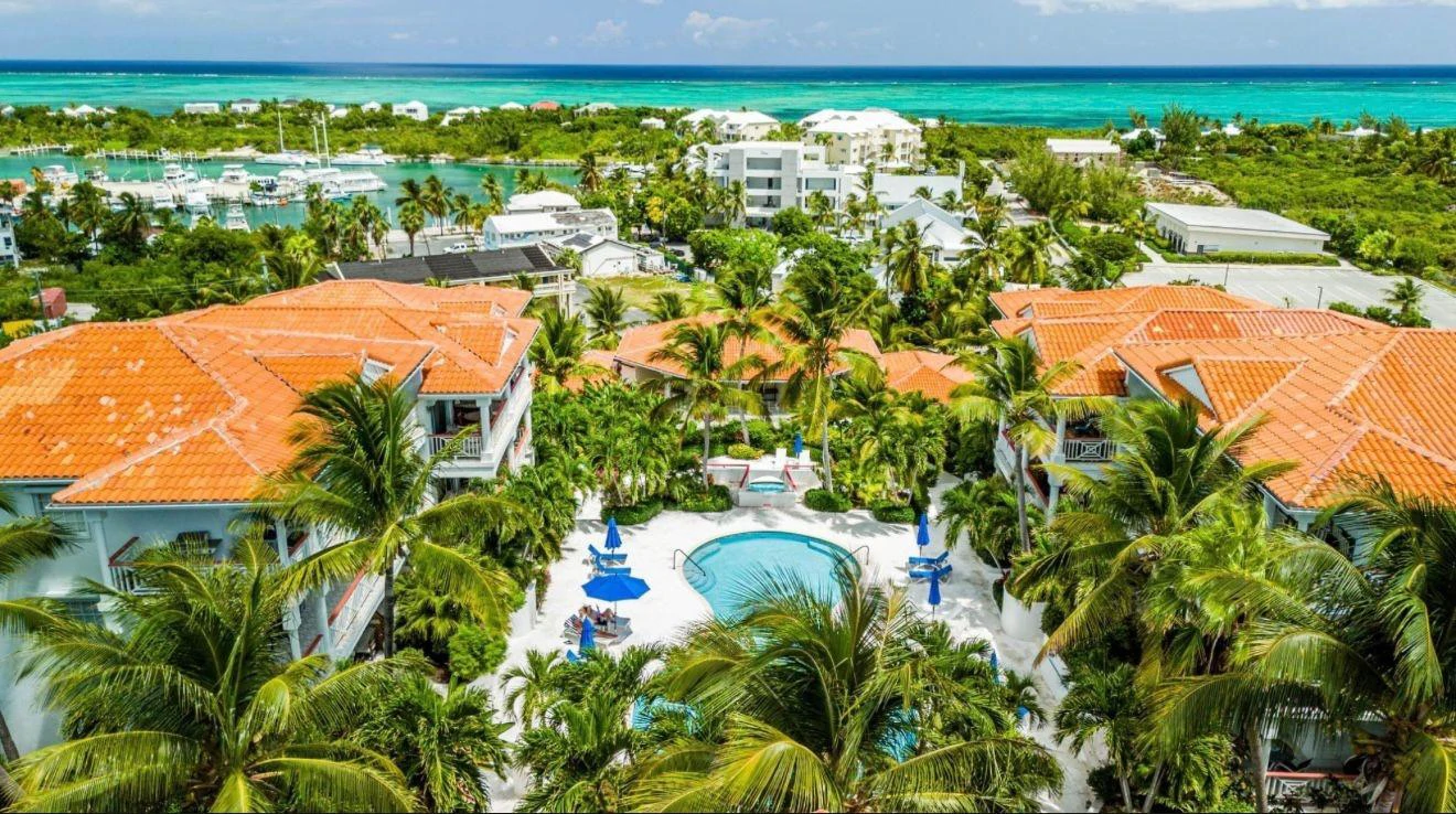 B304 Queen Angel - Gallery image 5