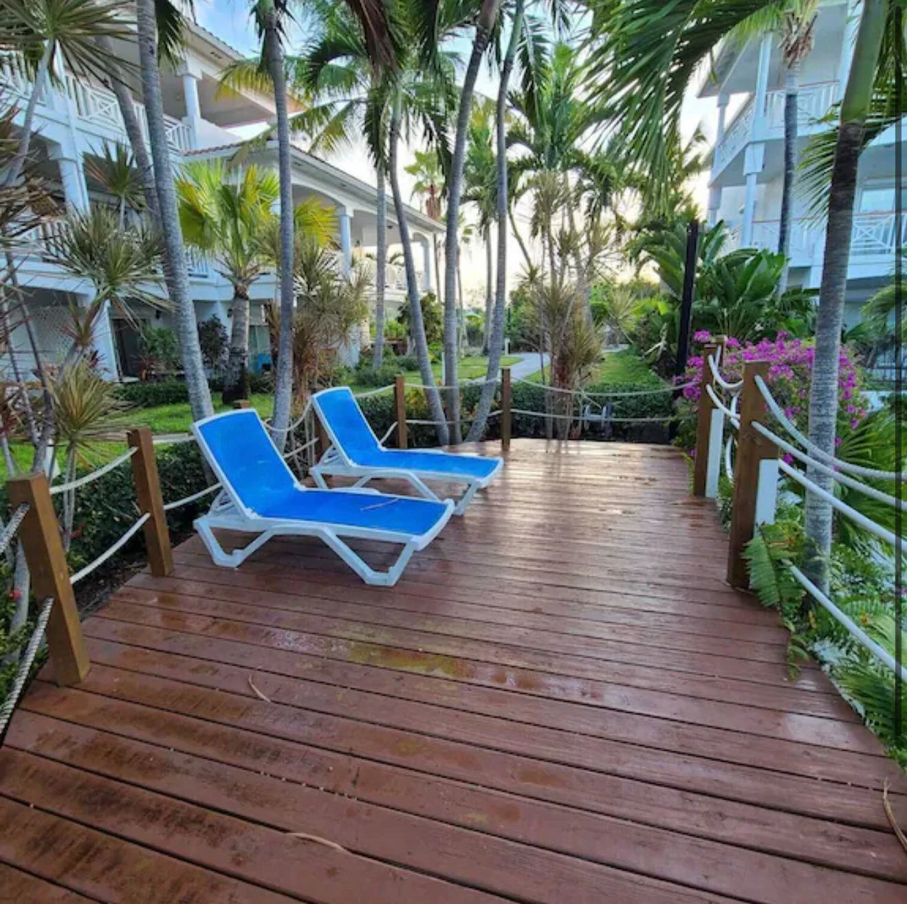 B304 Queen Angel - Gallery image 13