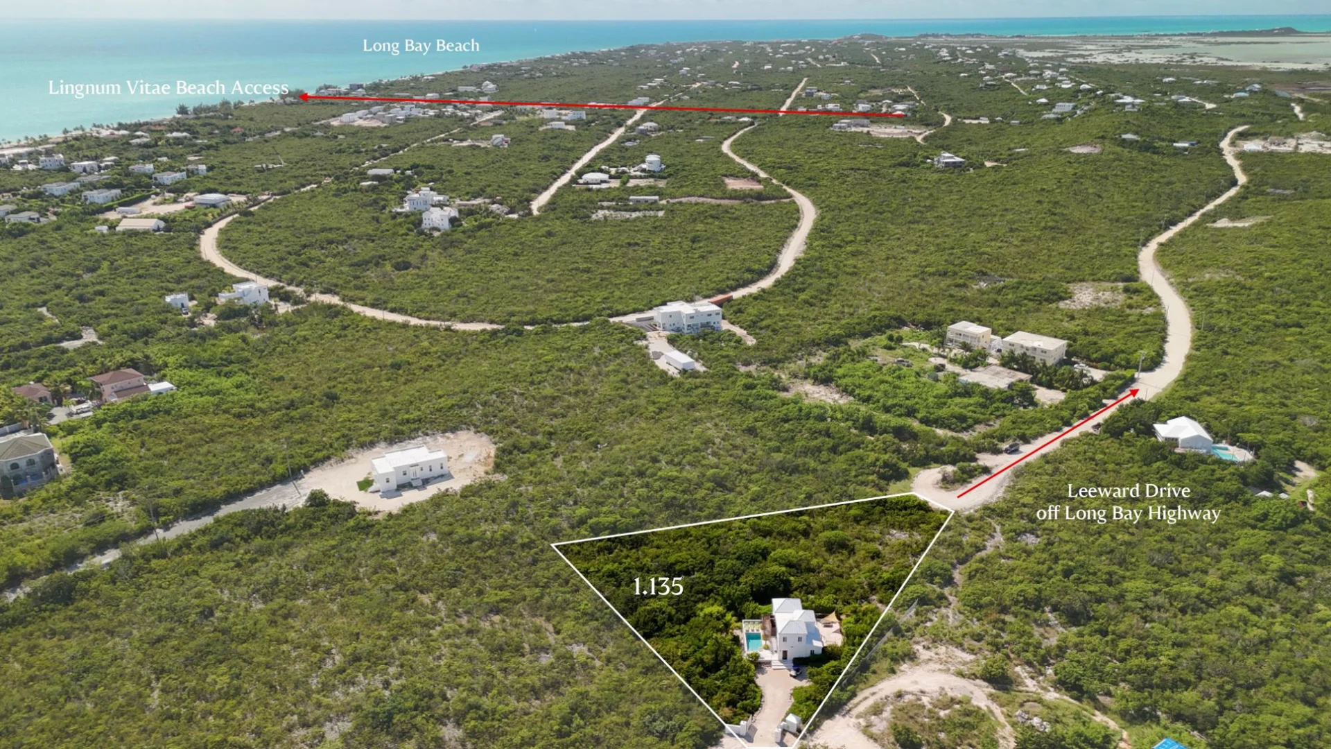 HAKUNA MATATA - Gallery image 3