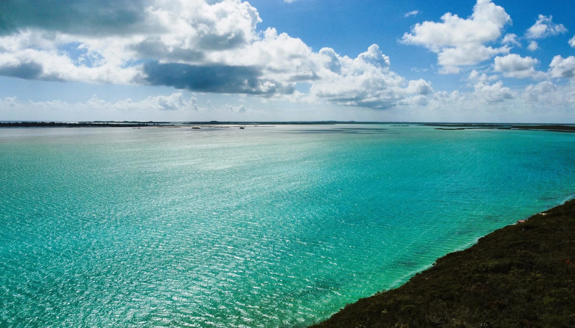 Tranquil Coastline of Bottle Creek - Gallery image 4
