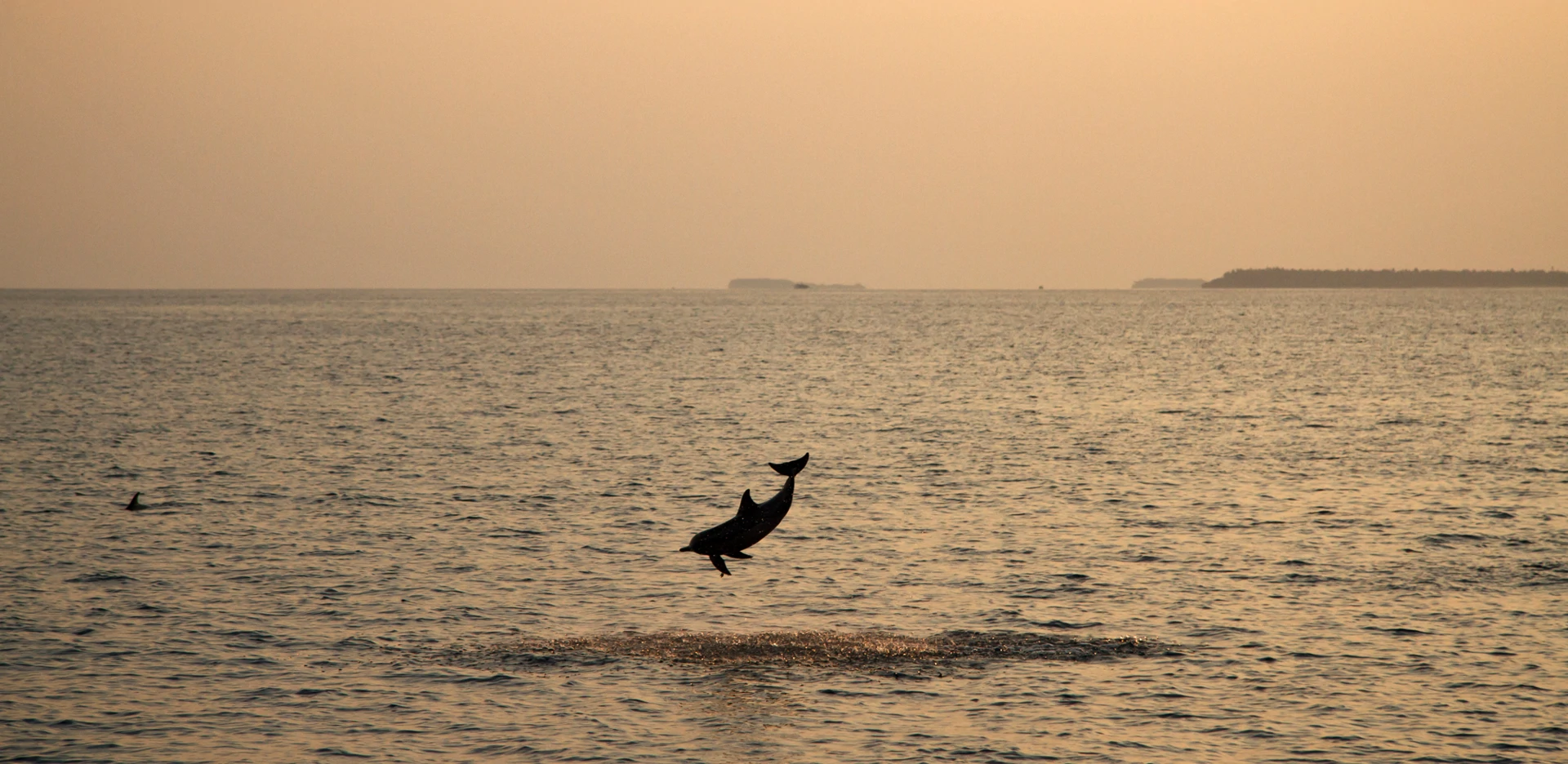 Luxury branded beach villas for sale | Soneva Fushi Maldives - Gallery image 16