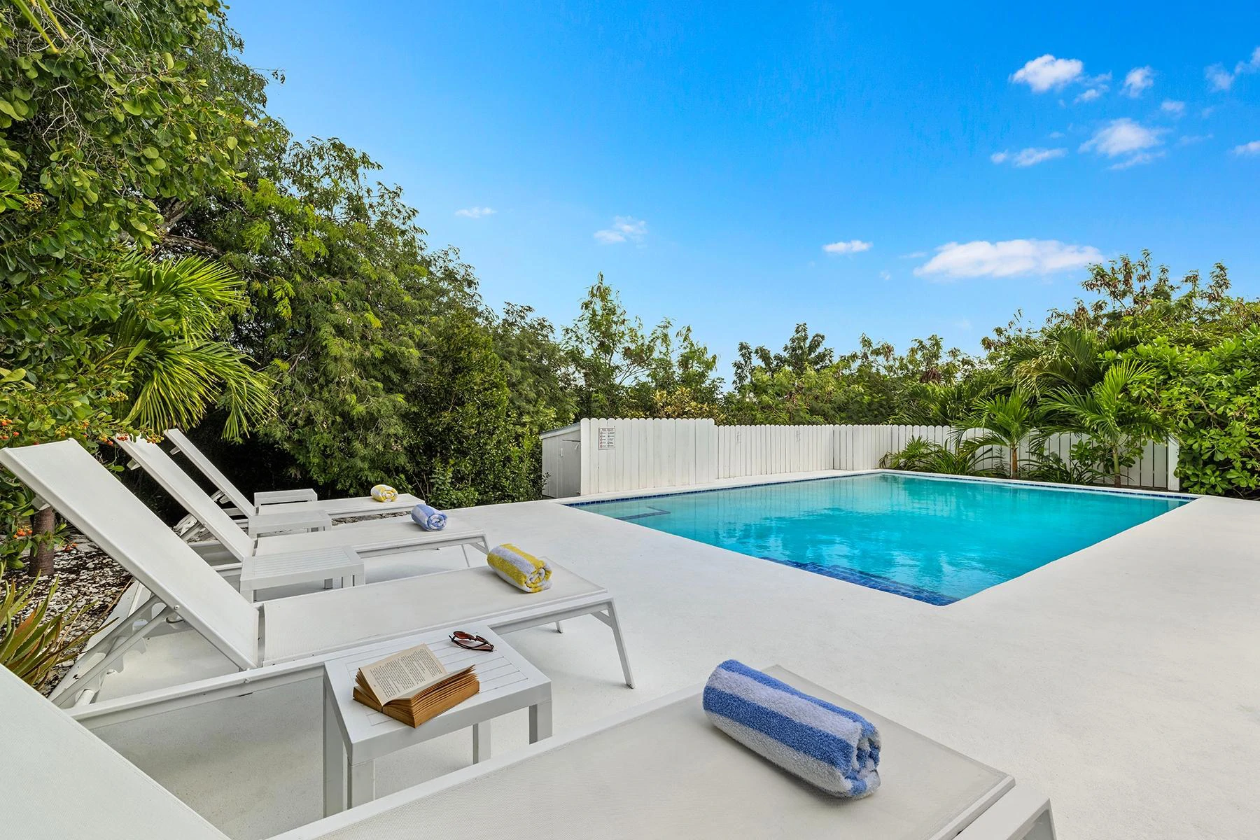 Blue Zepher - Gallery image 12