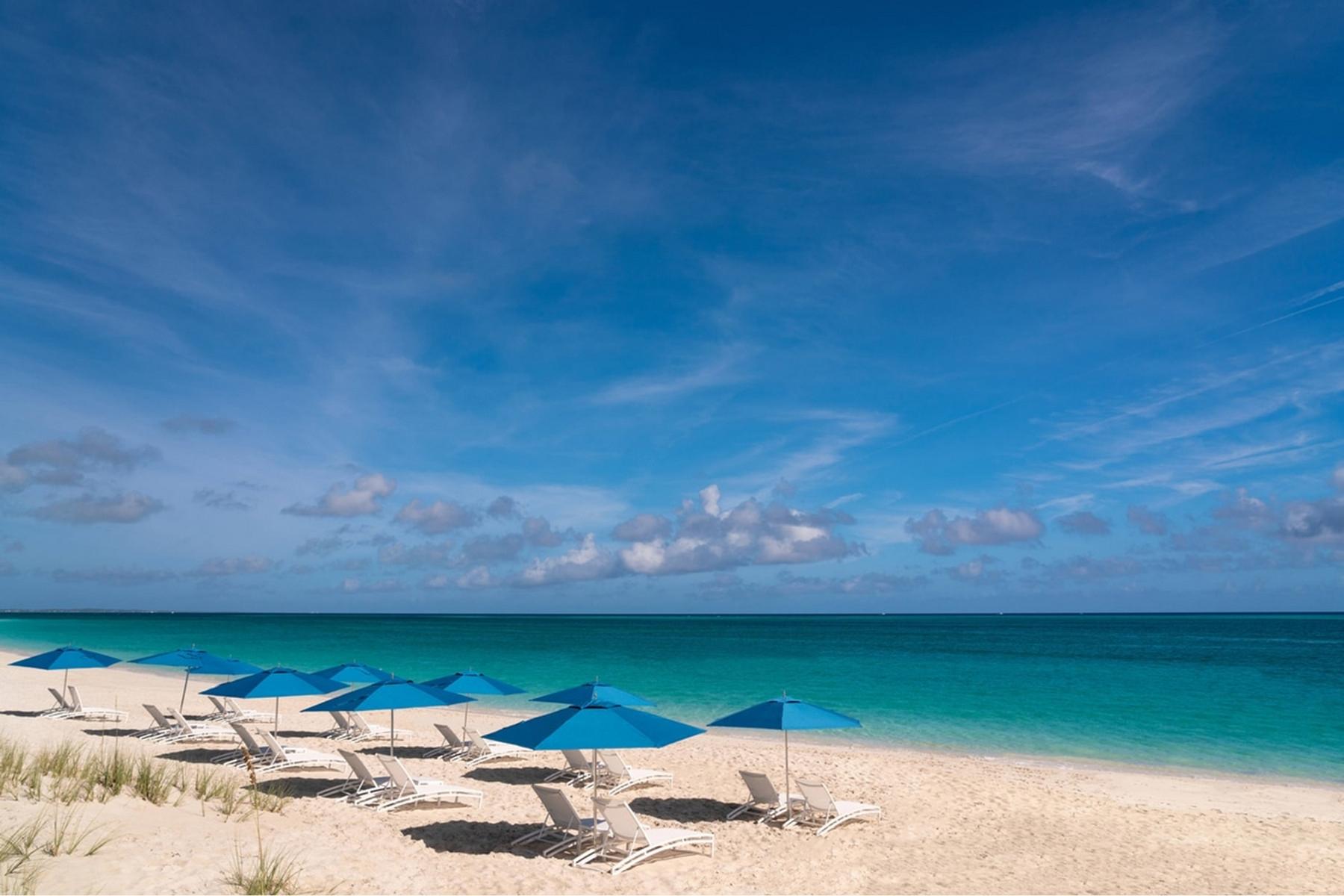 The Ritz-Carlton - Gallery image 18