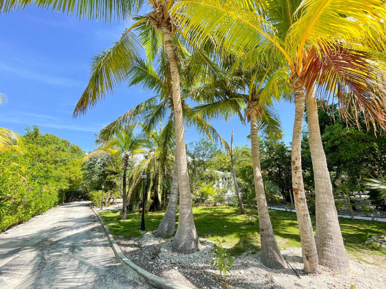 Seagrape Villa - Gallery image 38