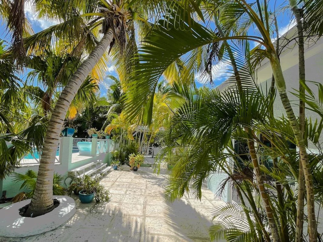 VILLA TROPICA SANDPIPER AVENUE-LEEWARD - Gallery image 16