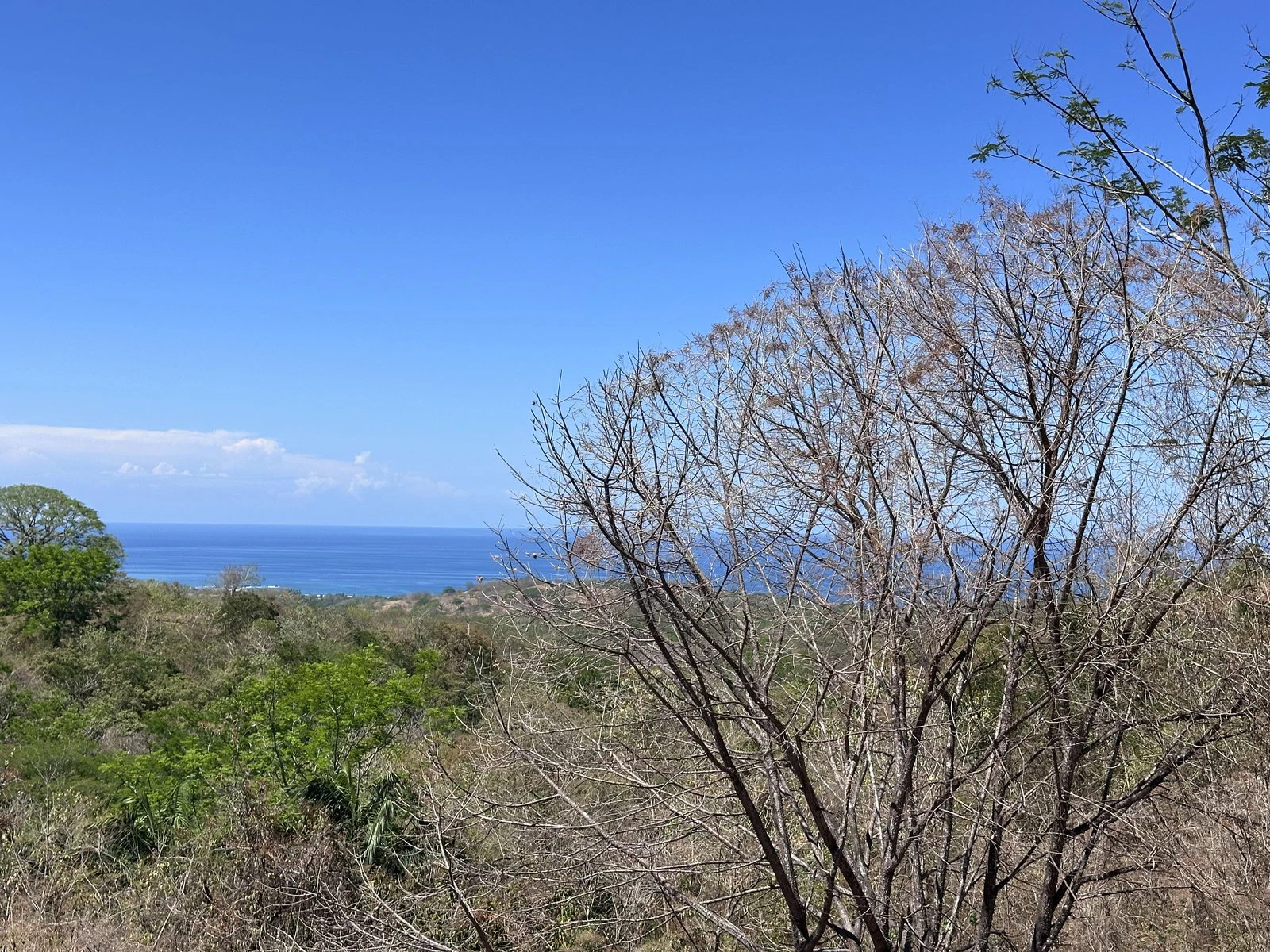 Lot 133 - Las Cumbres del Mar | 1,404 m² | Nosara, Costa Rica - Gallery image 4