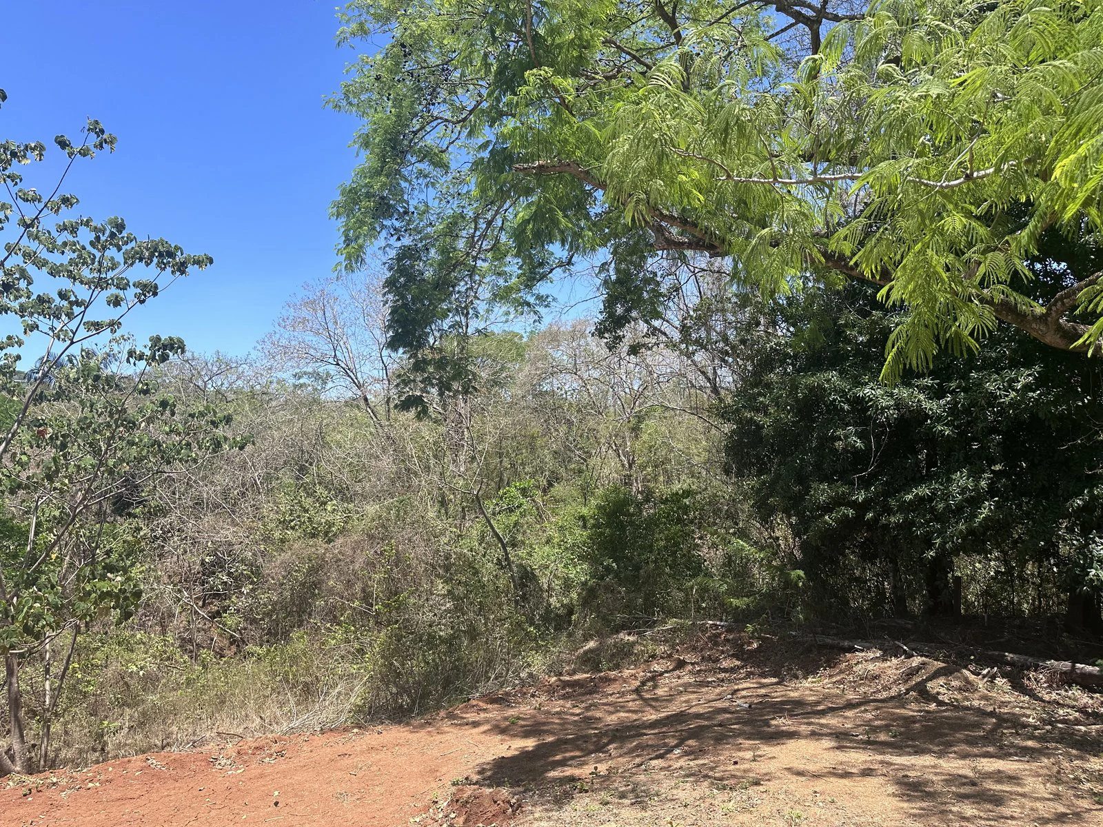 Lot 16A - Las Cumbres del Mar | 842 m² | Nosara, Costa Rica - Gallery image 3