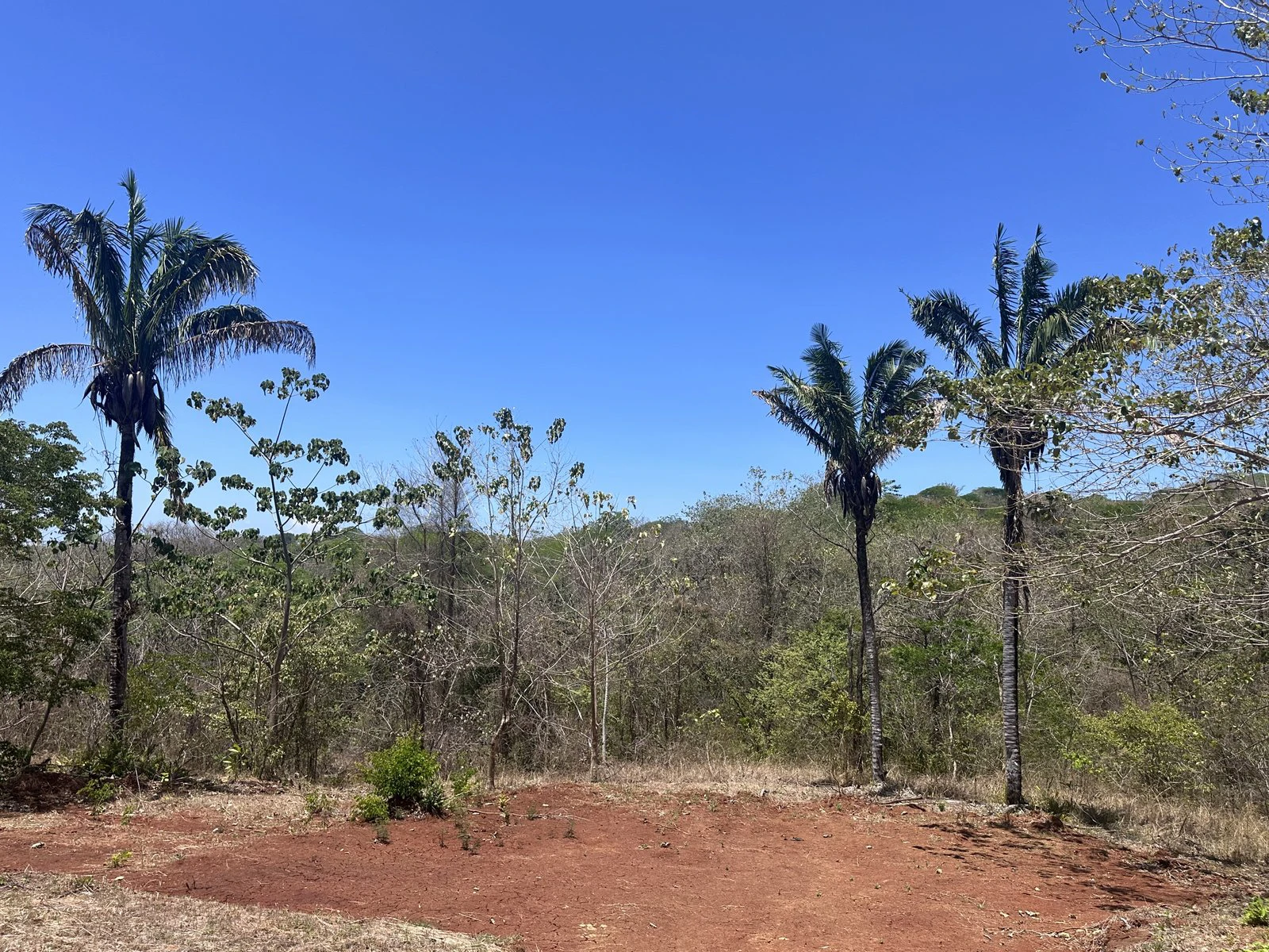 Lot 20 - Las Cumbres del Mar | 1,214 m² | Nosara, Costa Rica - Gallery image 2