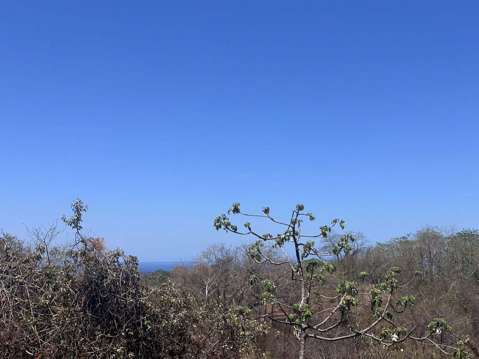 Lot 2 - Las Cumbres del Mar | 2,555 m² | Nosara, Costa Rica - Gallery image 4