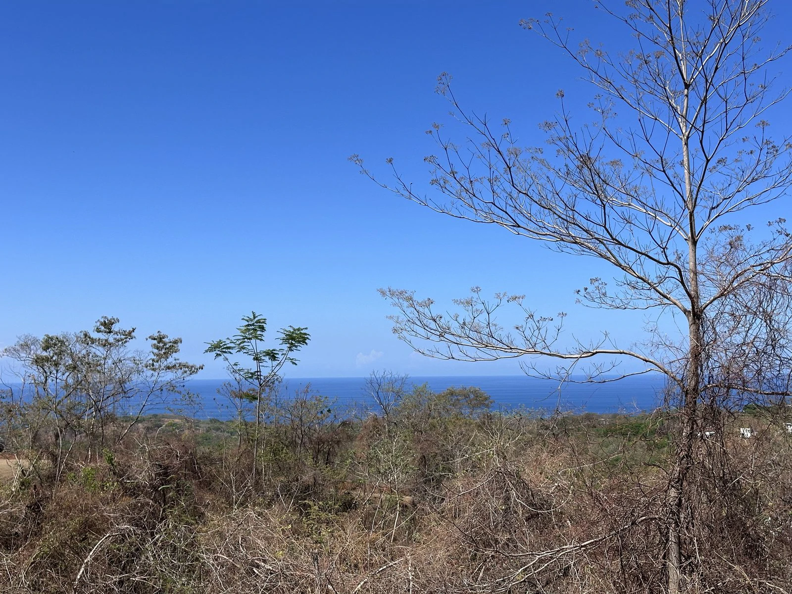 Lot 1 - Las Cumbres del Mar | 1,746 m² | Nosara, Costa Rica - Gallery image 5
