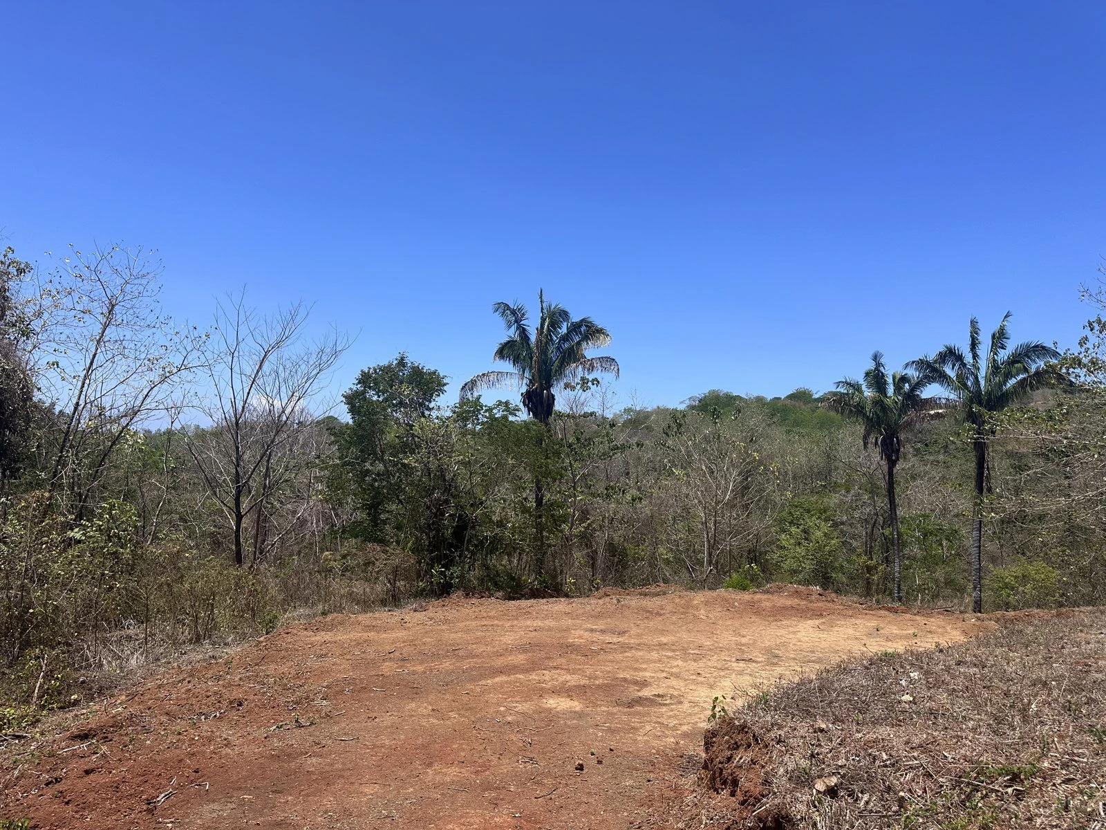Lot 21 - Las Cumbres del Mar | 1,765 m² | Nosara, Costa Rica - Gallery image 2