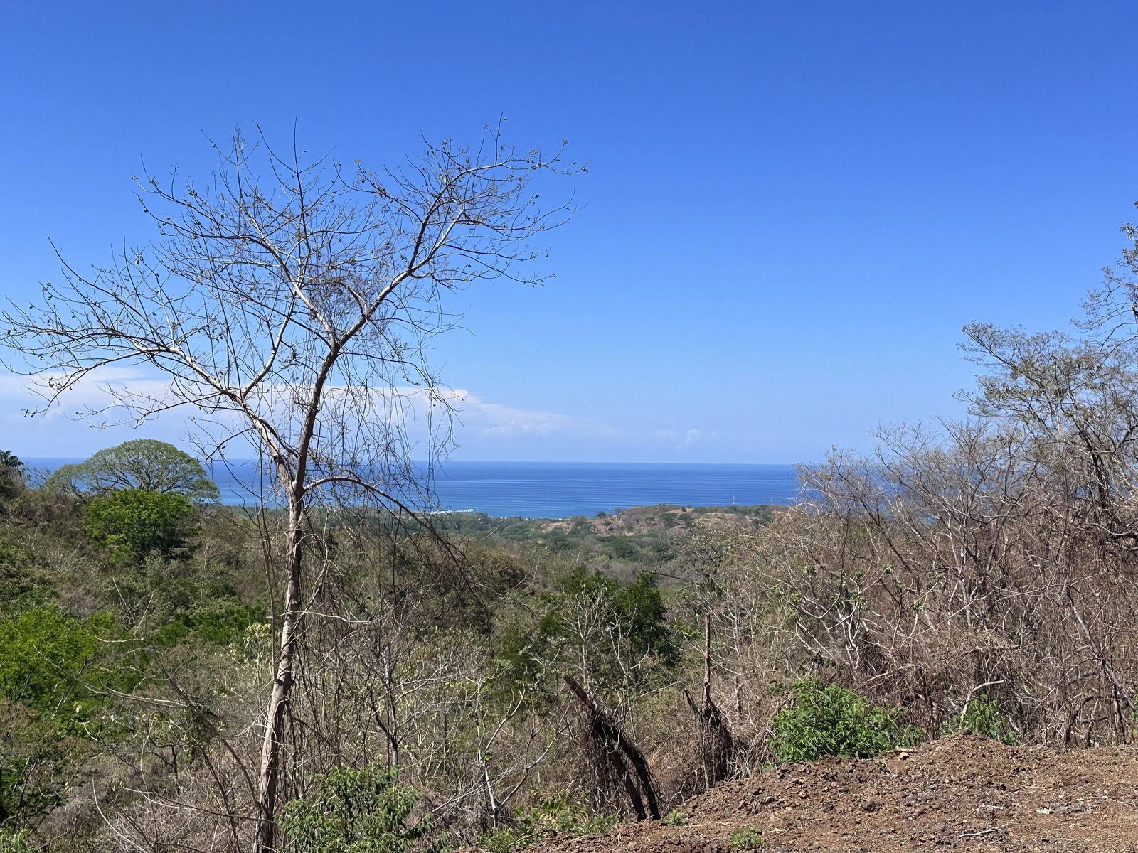Lot 132 - Las Cumbres del Mar | 1,766 m² | Nosara, Costa Rica - Gallery image 4
