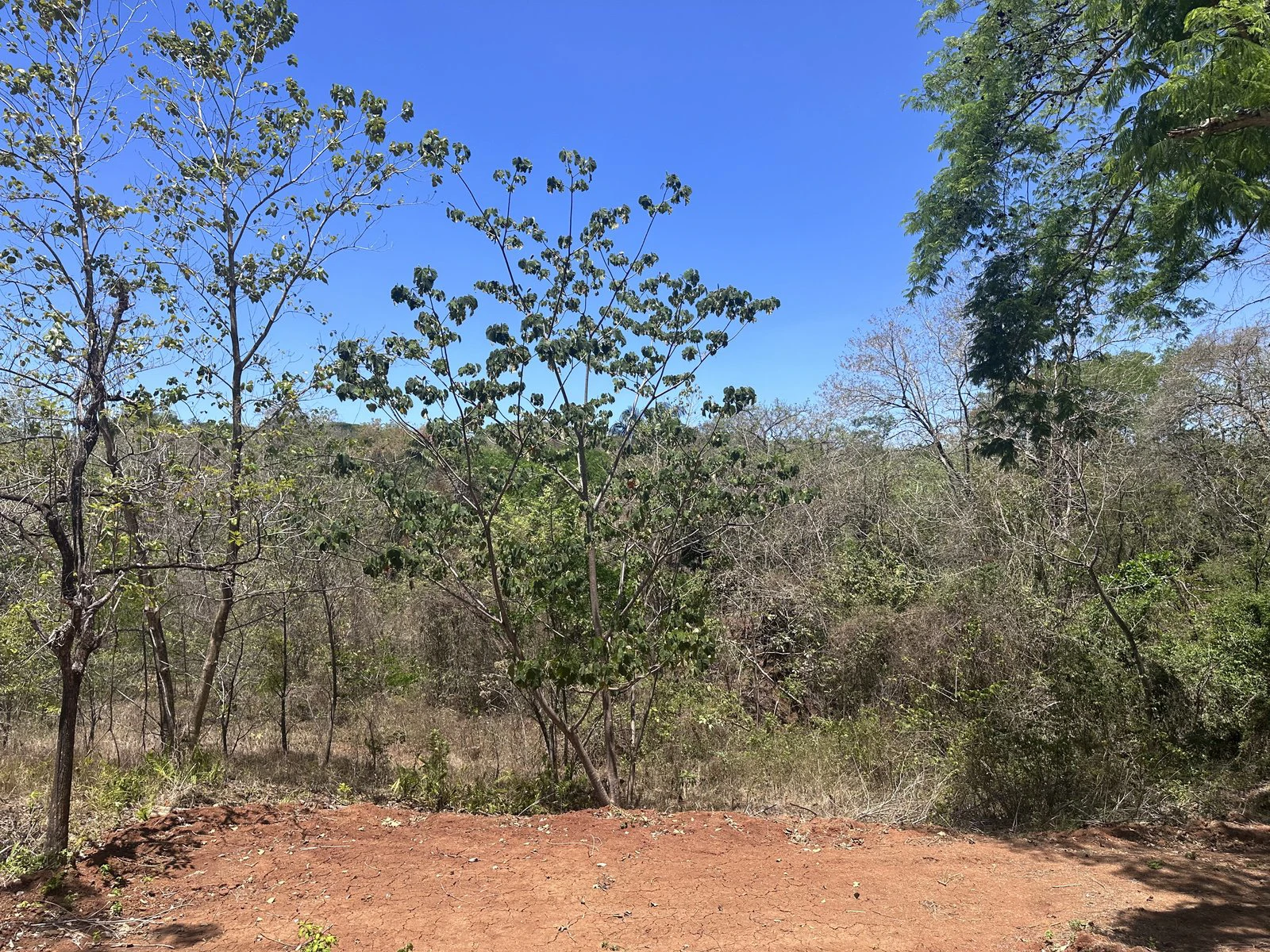Lot 16A - Las Cumbres del Mar | 842 m² | Nosara, Costa Rica - Gallery image 2