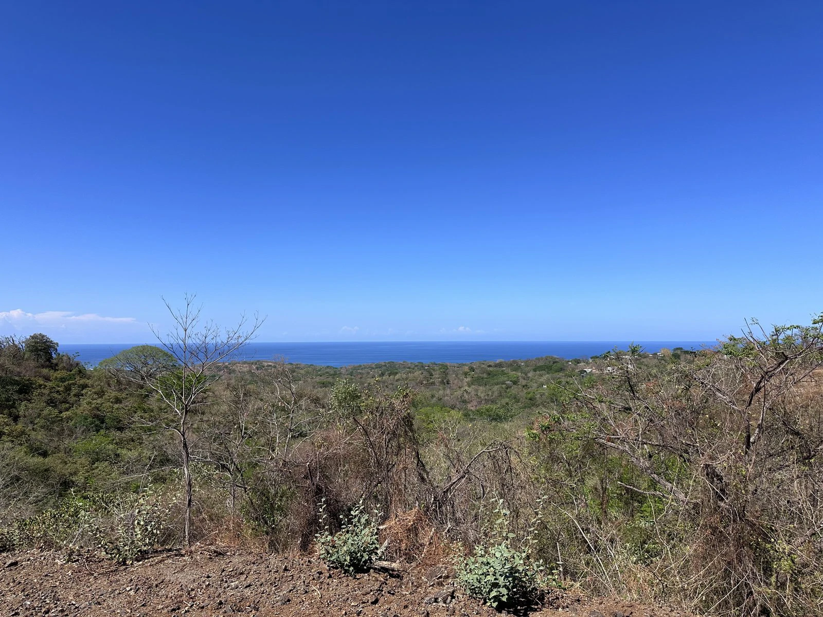 Lot 135 - Las Cumbres del Mar | 3,560 m² | Nosara, Costa Rica - Gallery image 4