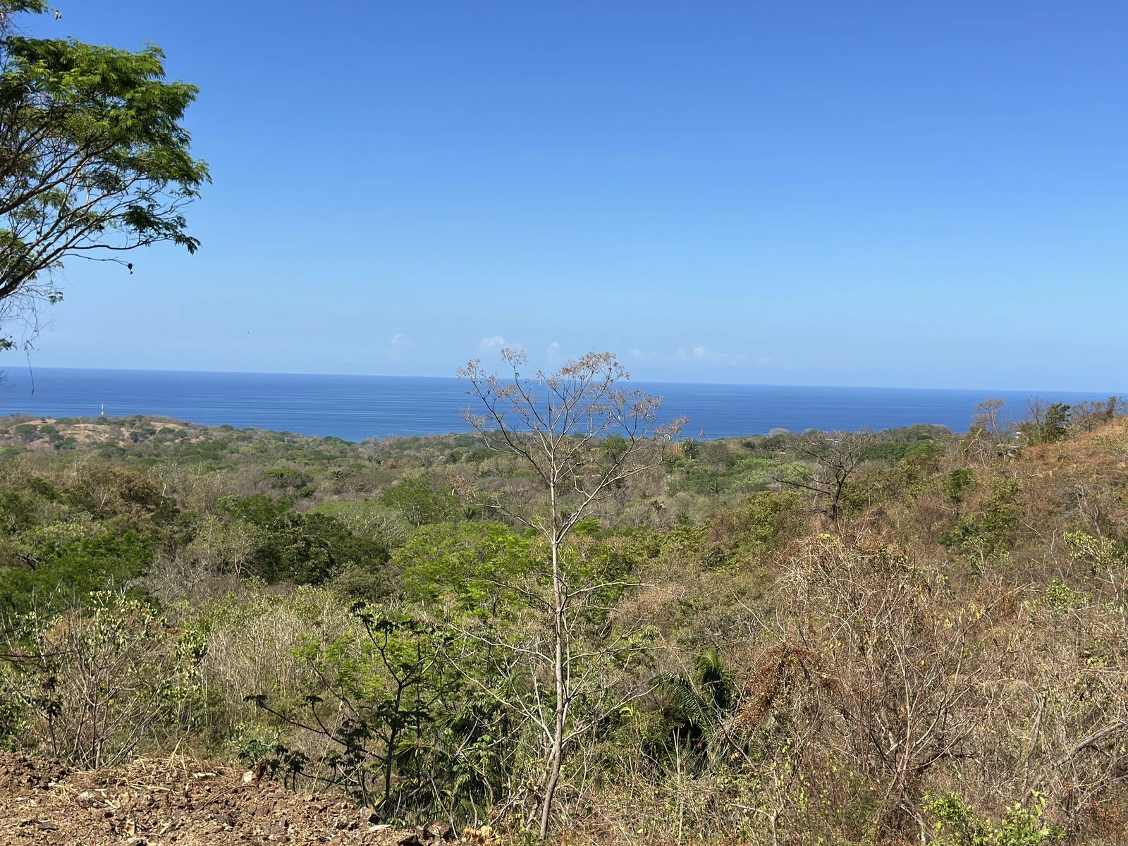 Lot 134 - Las Cumbres del Mar | 2,331 m² | Nosara, Costa Rica - Gallery image 4