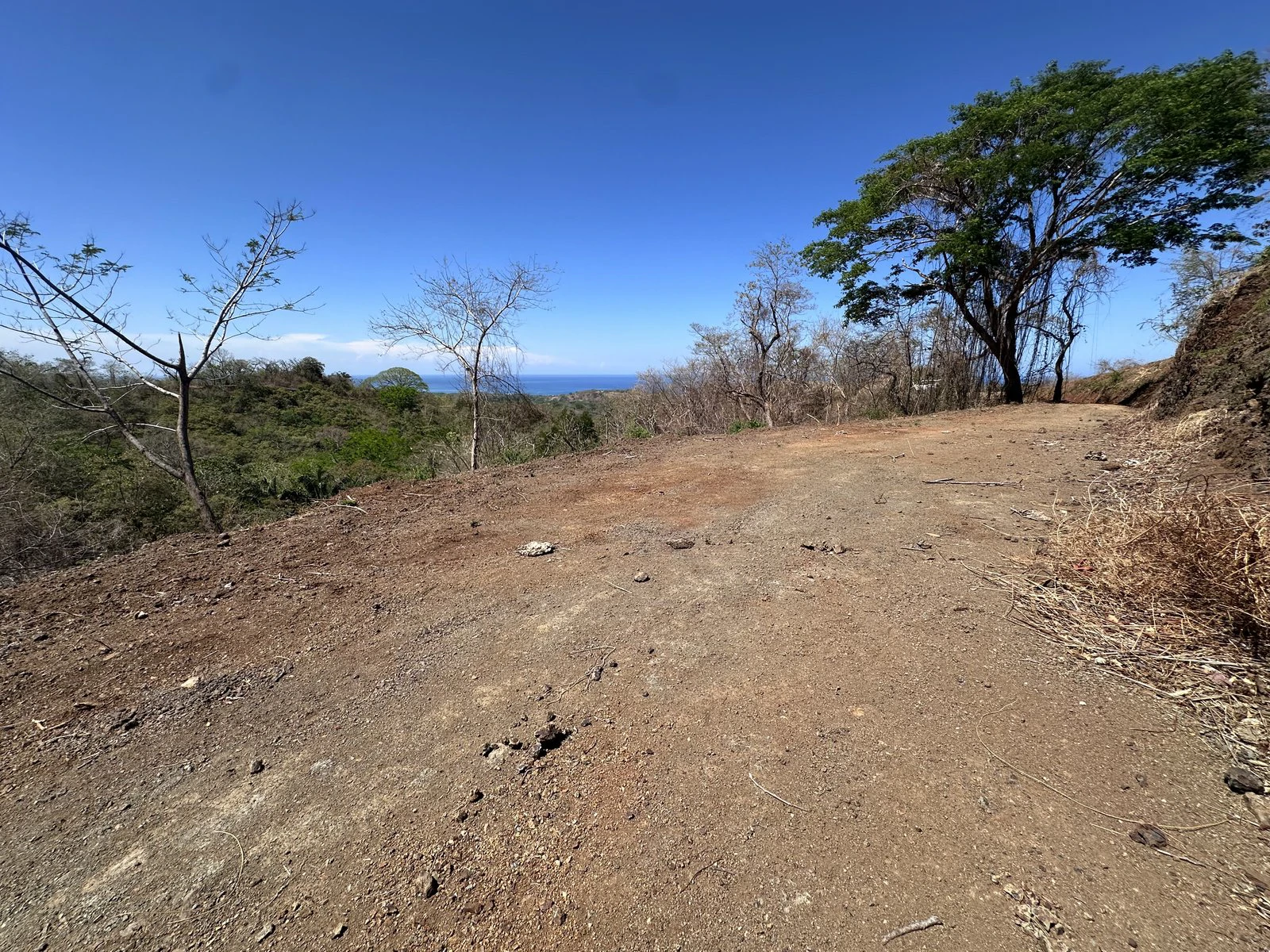 Lot 132 - Las Cumbres del Mar | 1,766 m² | Nosara, Costa Rica - Gallery image 3