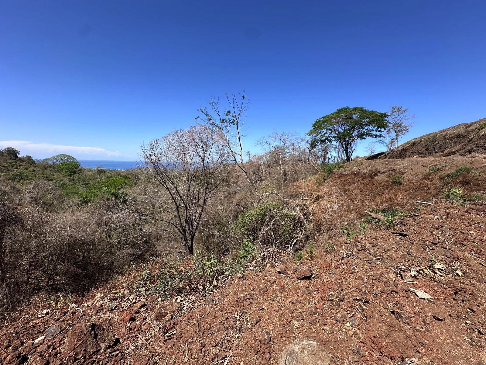 Lot 133 - Las Cumbres del Mar | 1,404 m² | Nosara, Costa Rica - Gallery image 3