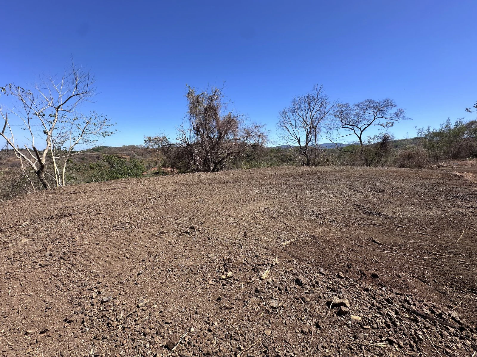 Lot 1 - Las Cumbres del Mar | 1,746 m² | Nosara, Costa Rica - Gallery image 6