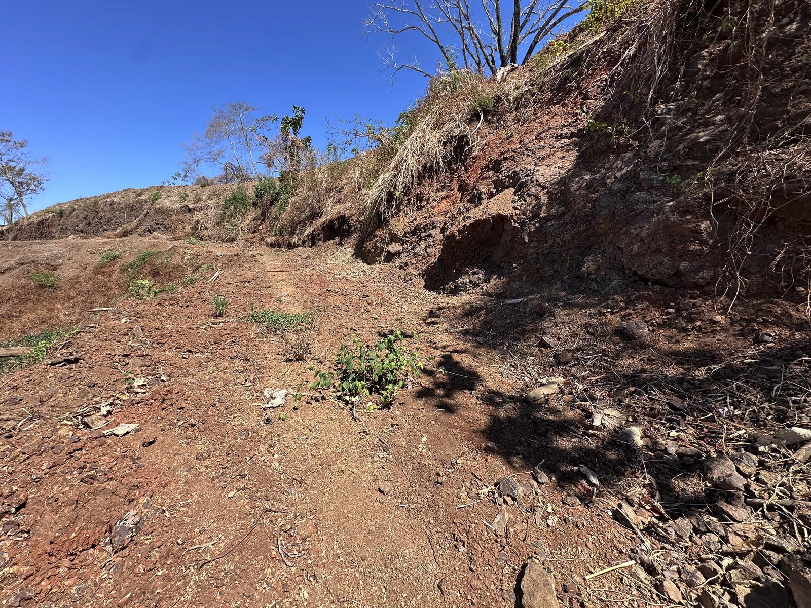 Lot 133 - Las Cumbres del Mar | 1,404 m² | Nosara, Costa Rica - Gallery image 2