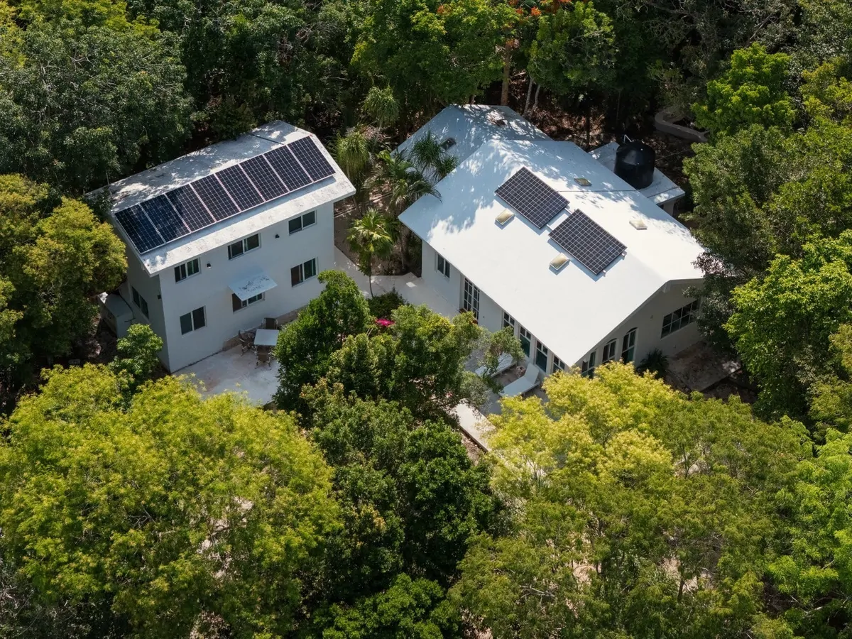 Jungle Homes on 2.5 Acres
