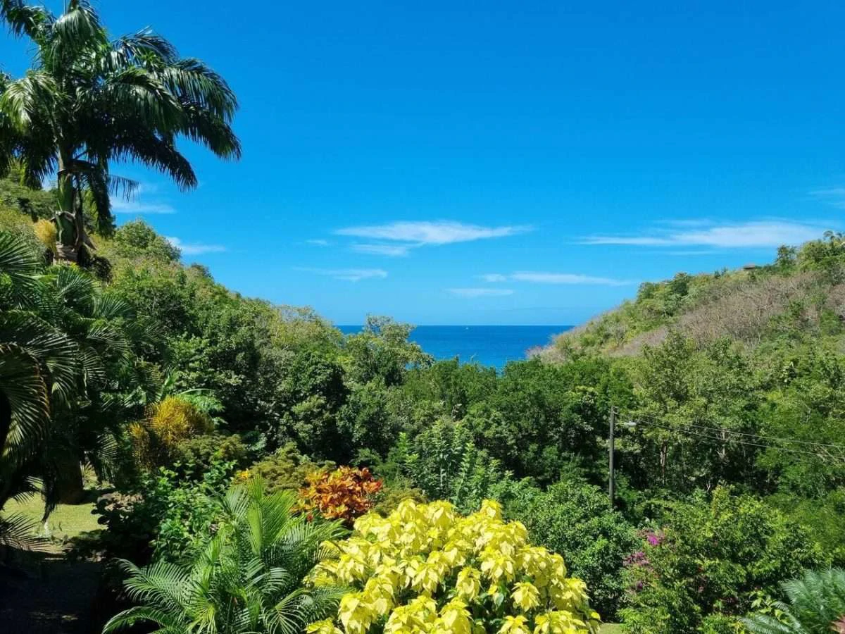 Villa Karibu, Marigot Bay. - photo 27